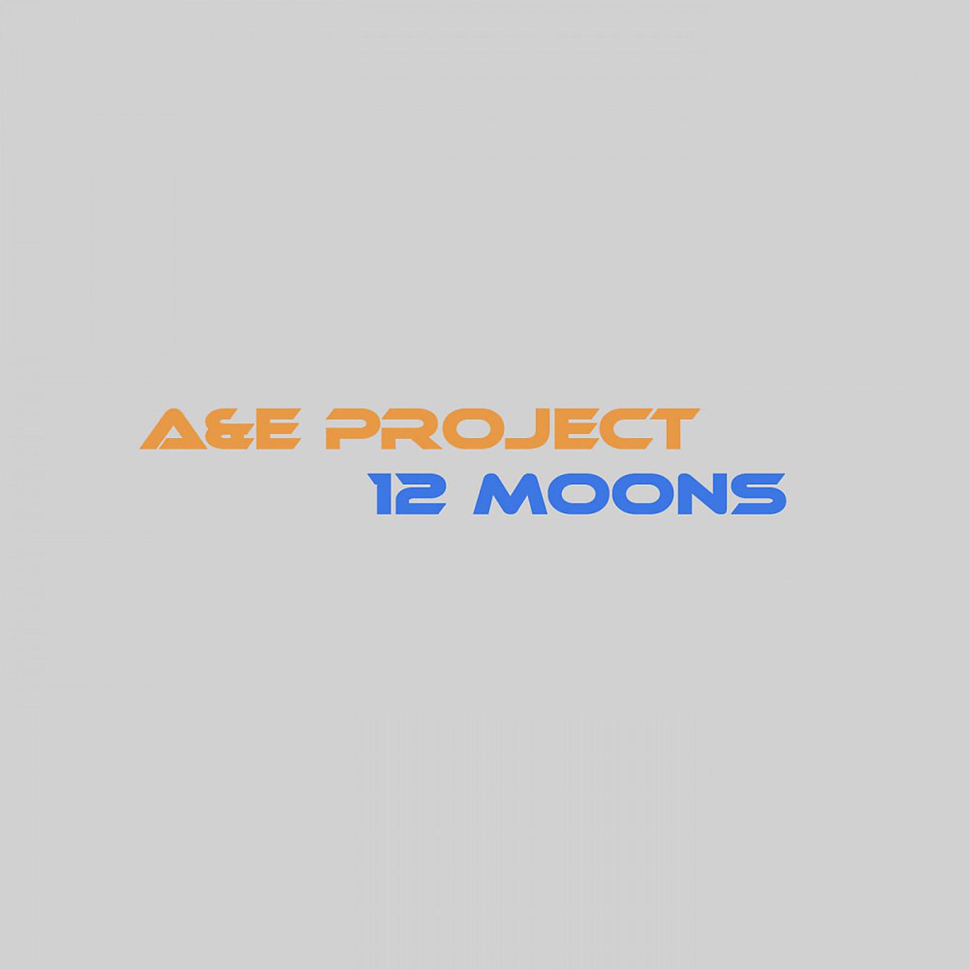 Постер альбома 12 Moons (Original)