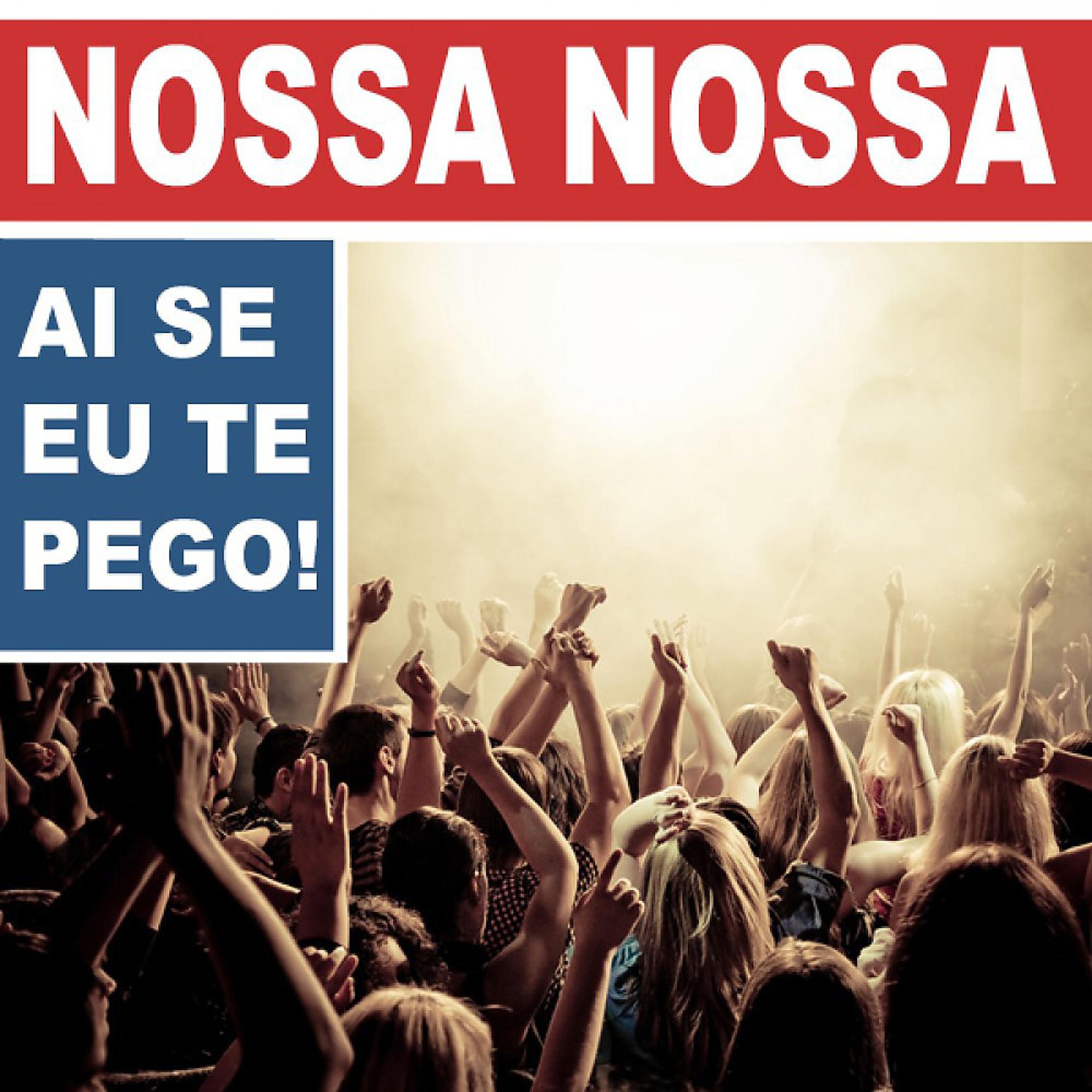 Постер альбома Nossa Nossa (Ai Se Eu Te Pego)