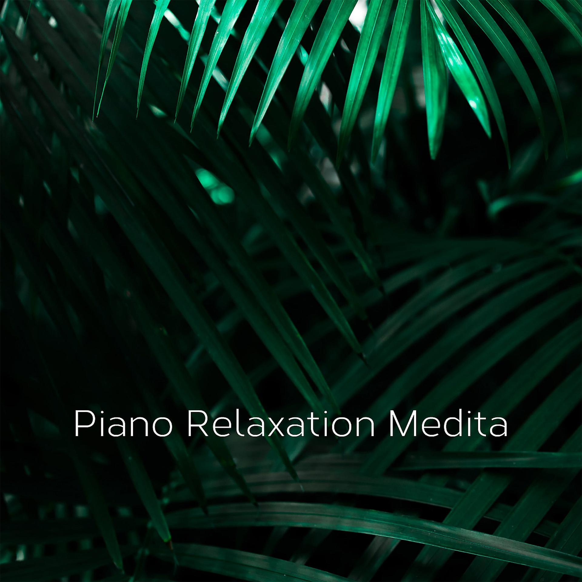 Постер альбома Relaxing Zen Piano