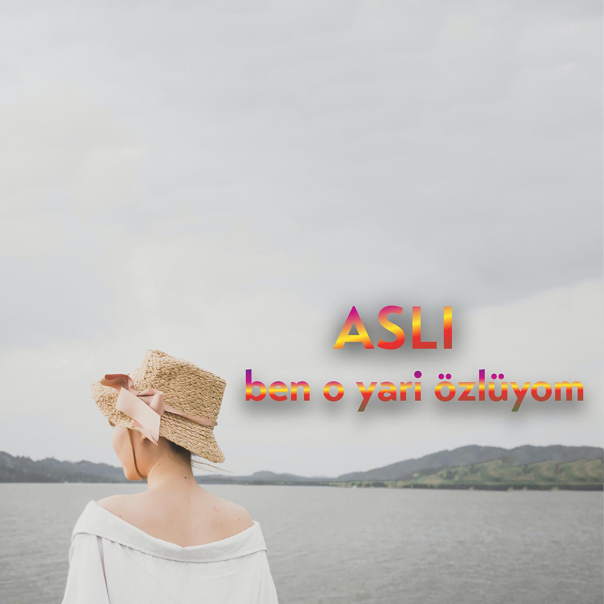 Постер альбома Ben O yari Özlüyom