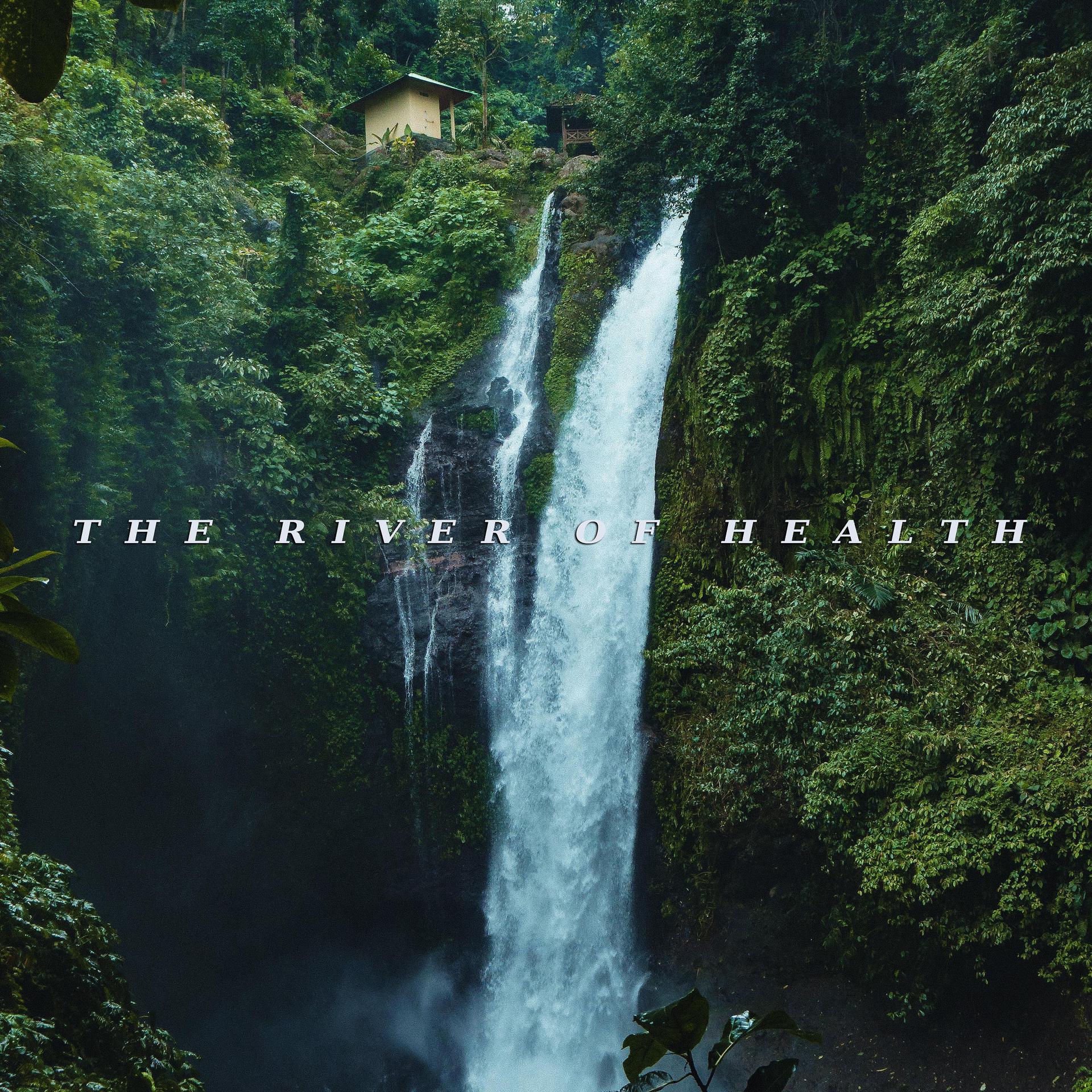 Постер альбома The River Of Health