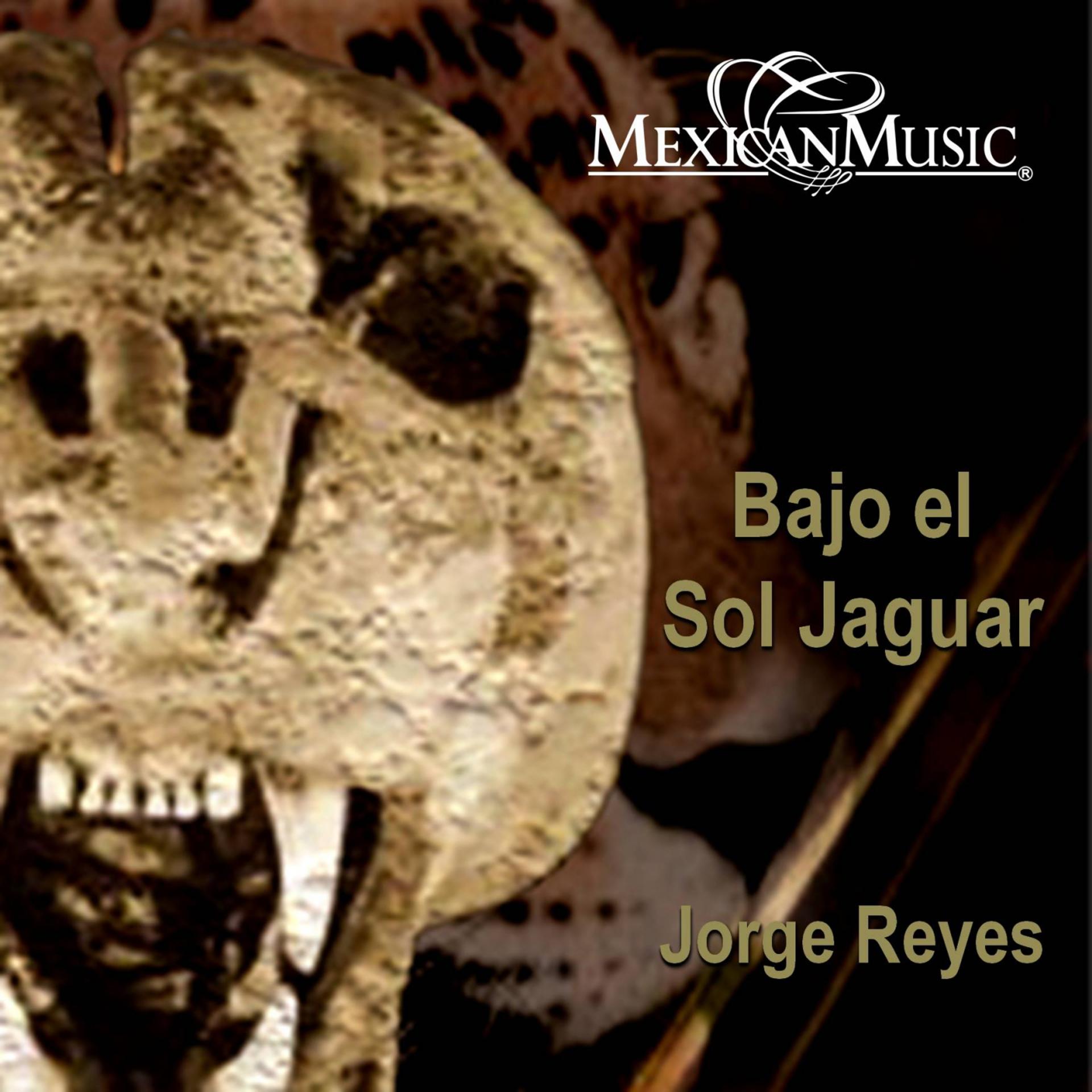 Постер альбома Bajo el Sol Jaguar
