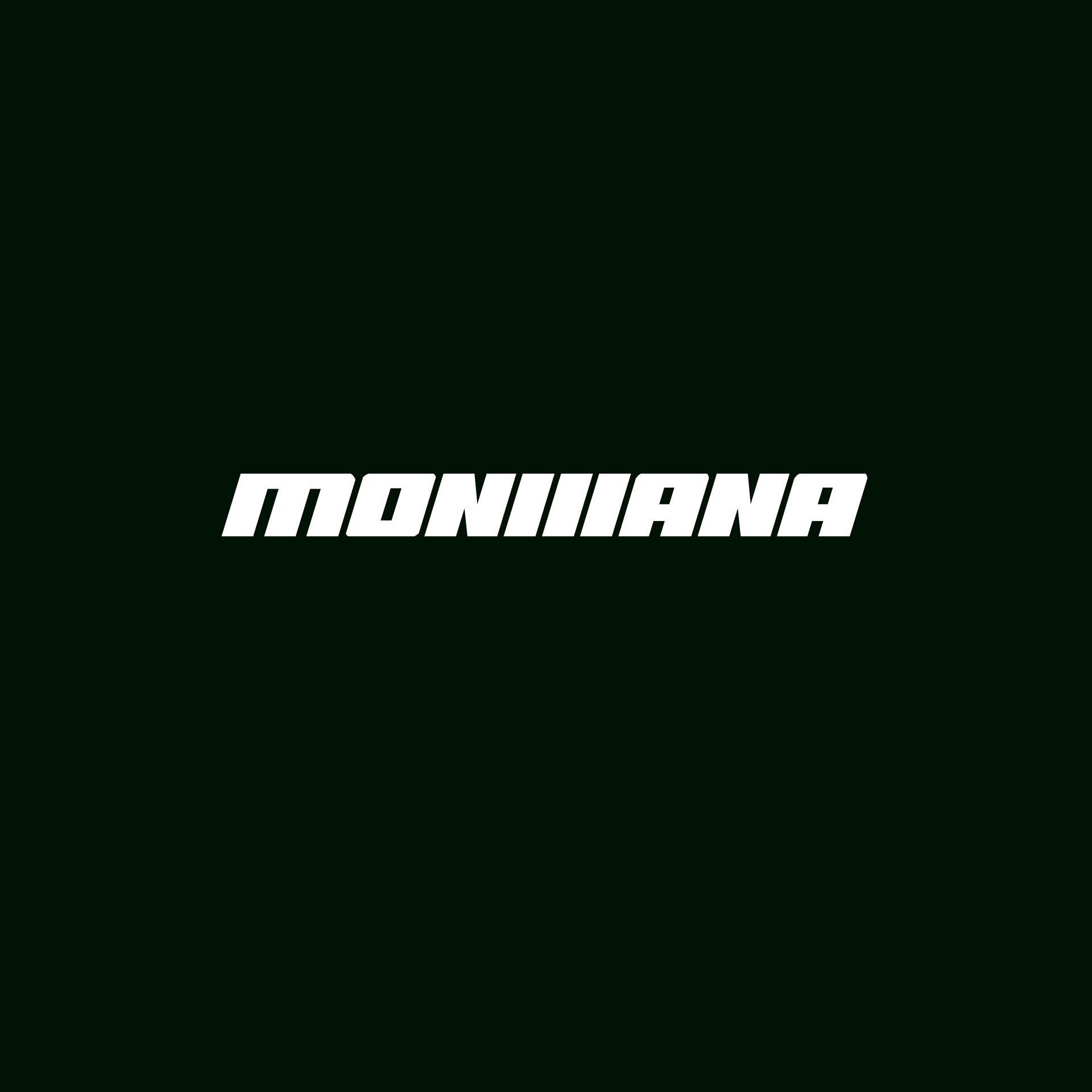 Постер альбома MONTANA III