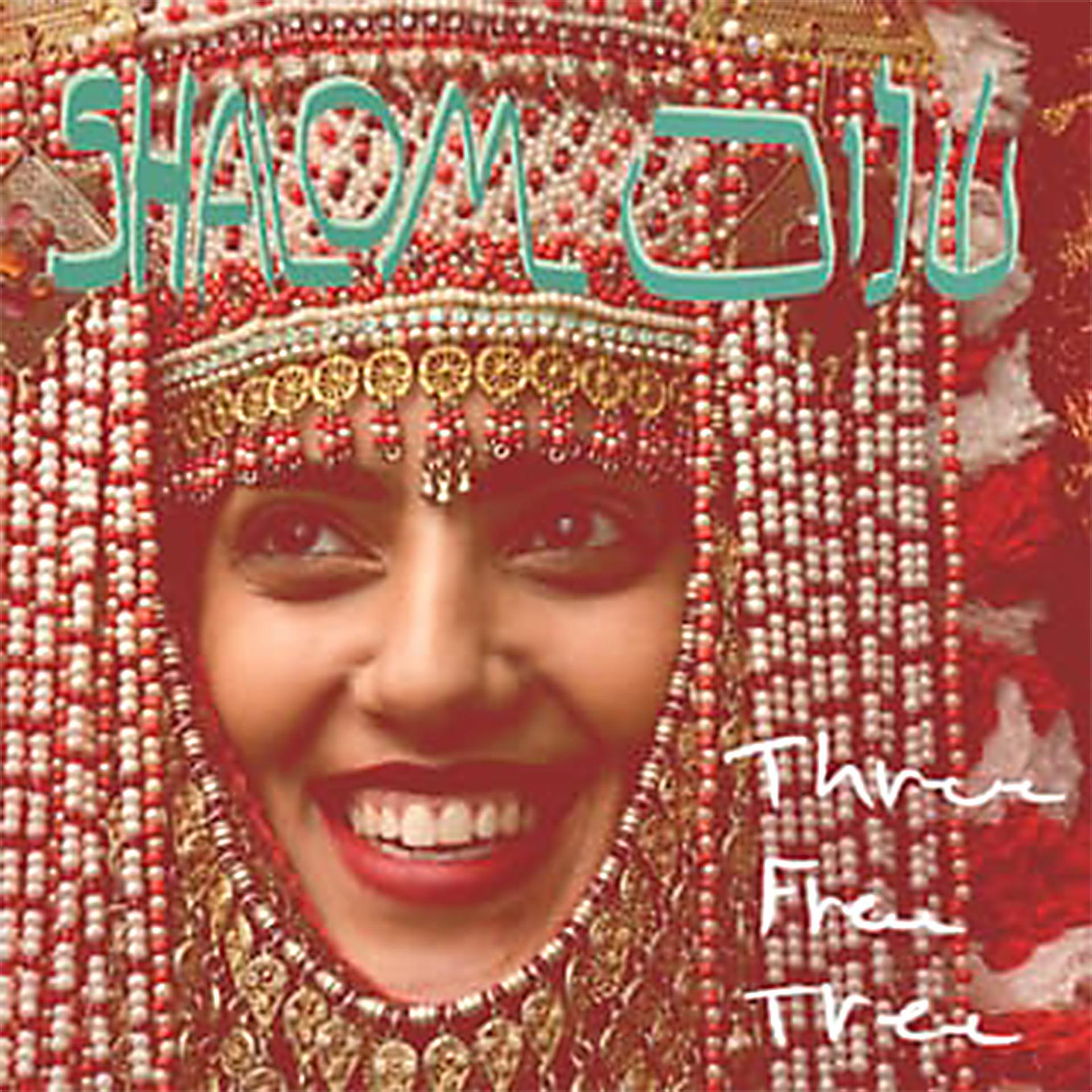 Постер альбома Shalom