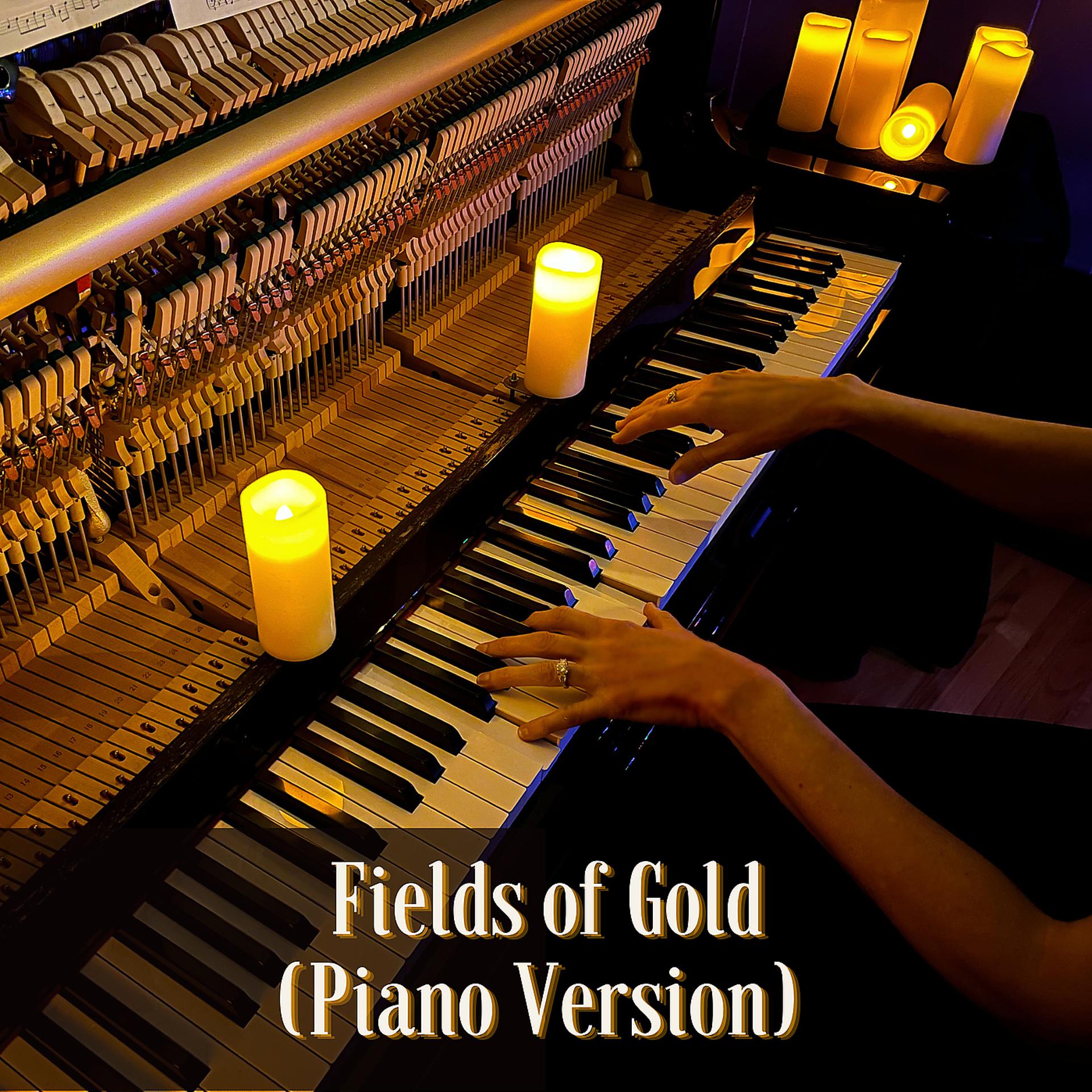 Постер альбома Fields of Gold (Piano Version)