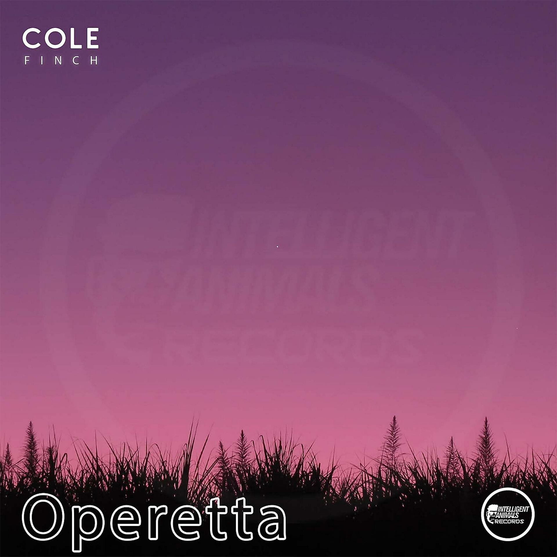 Постер альбома Operetta