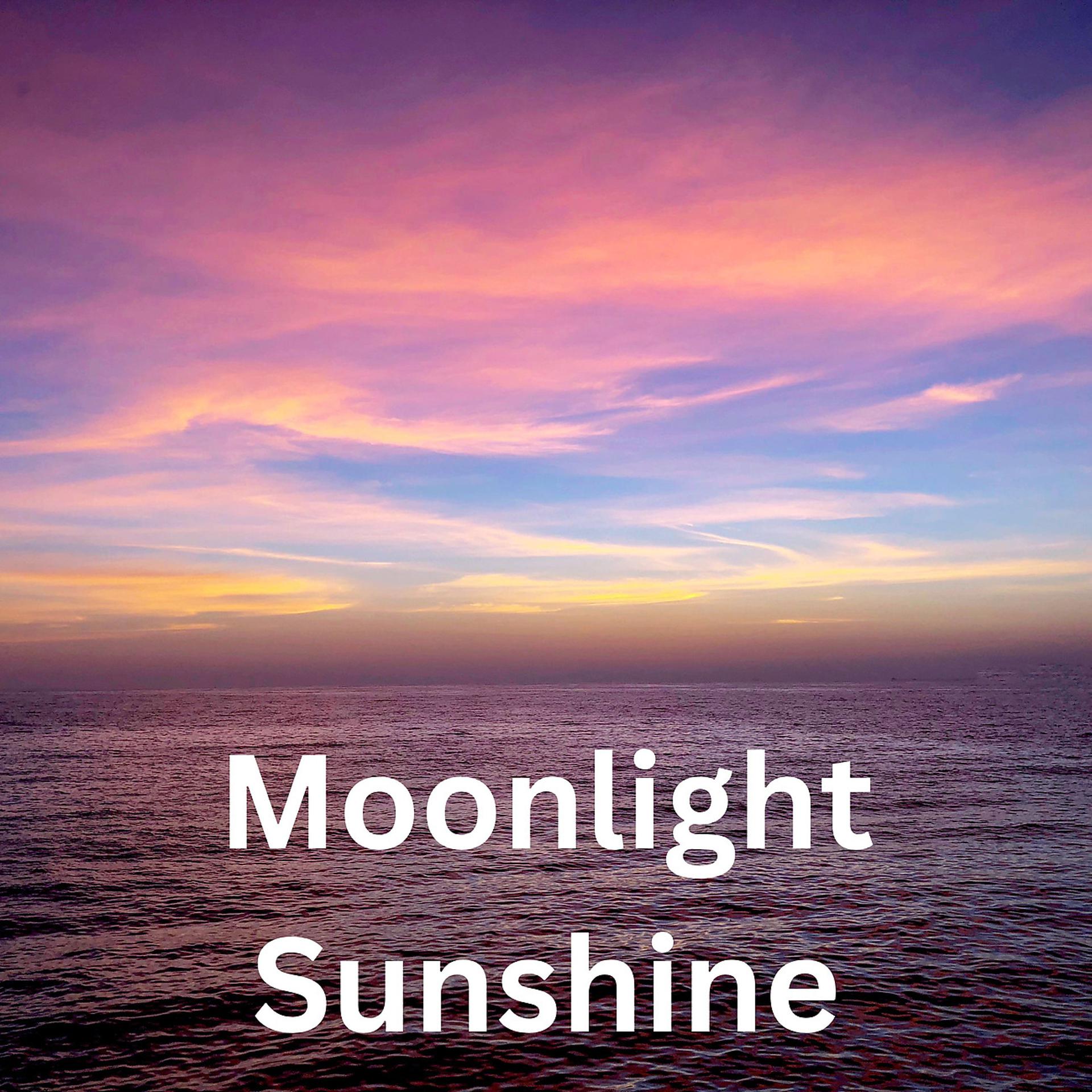 Постер альбома Moonlight Sunshine