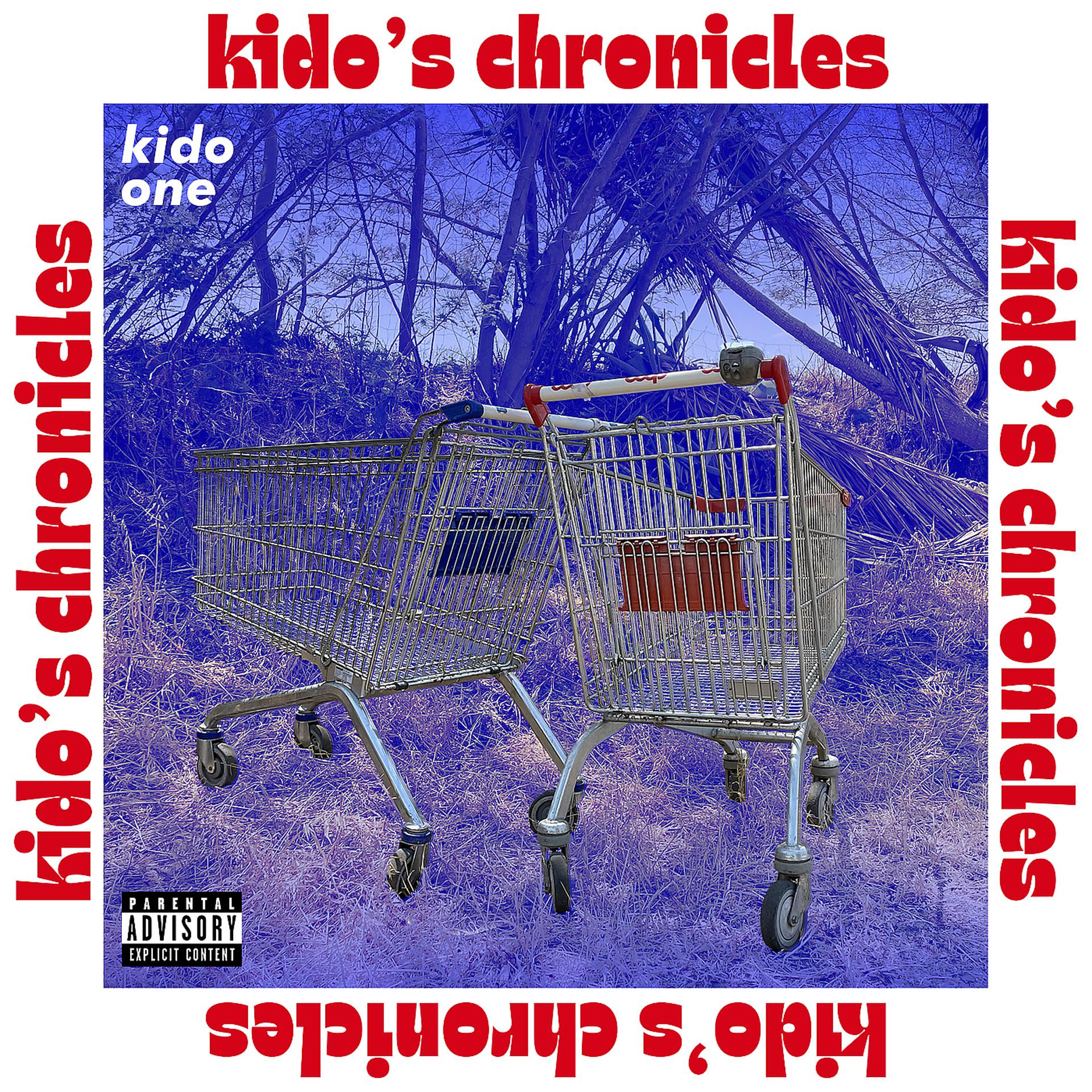 Постер альбома Kido's chronicles