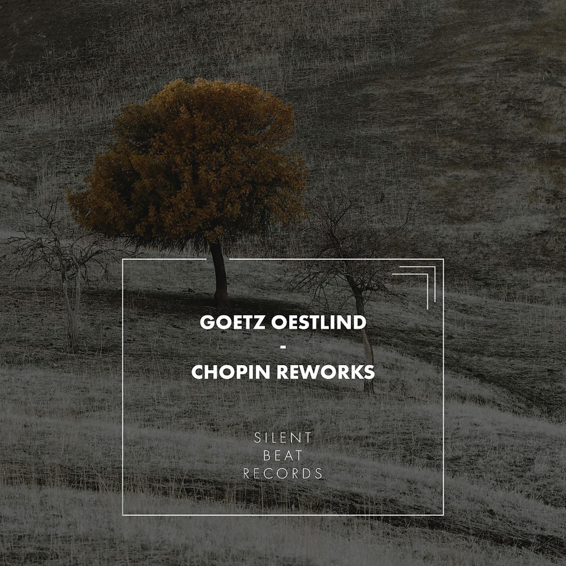 Постер альбома Chopin Reworks
