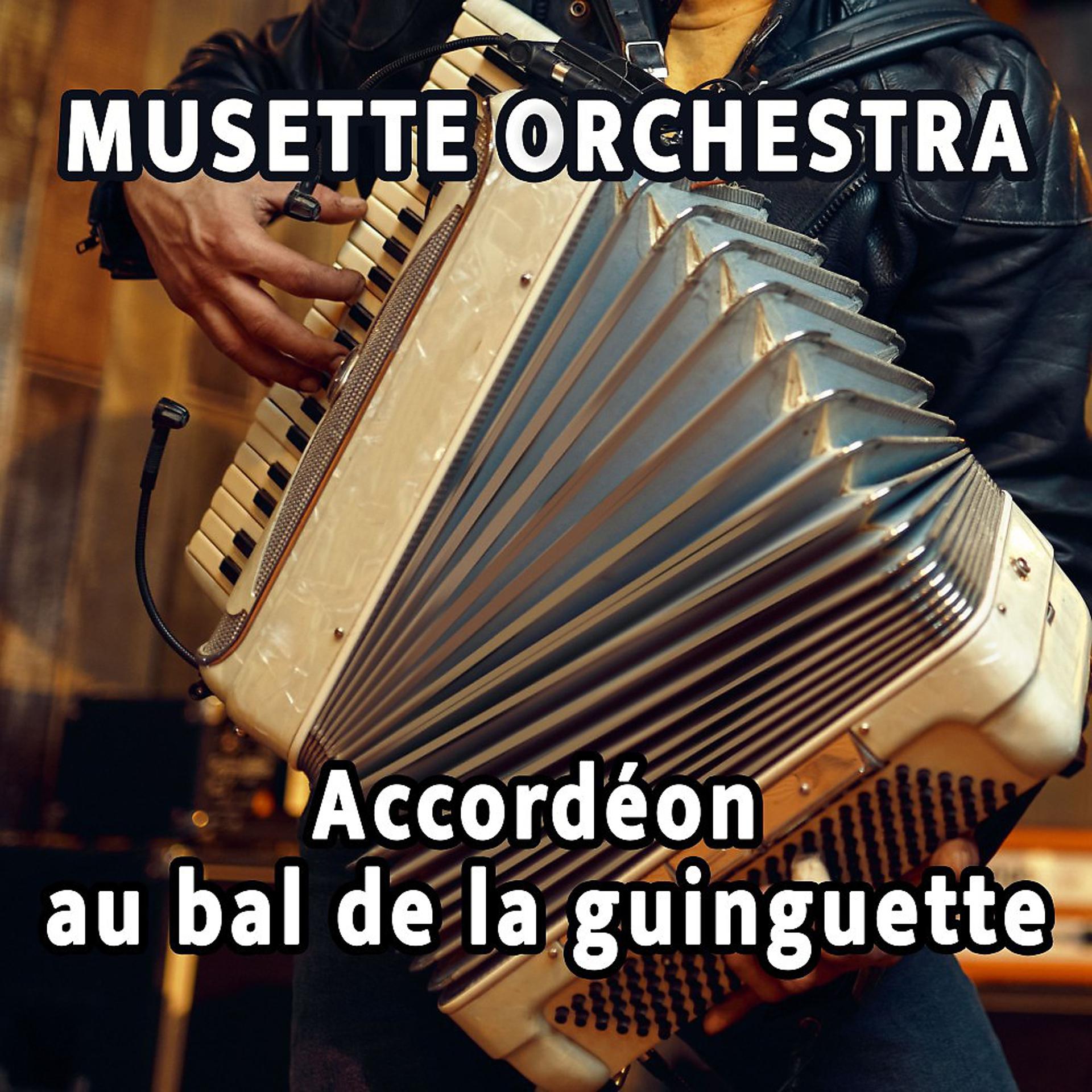 Постер альбома Accordéon au bal de la guinguette