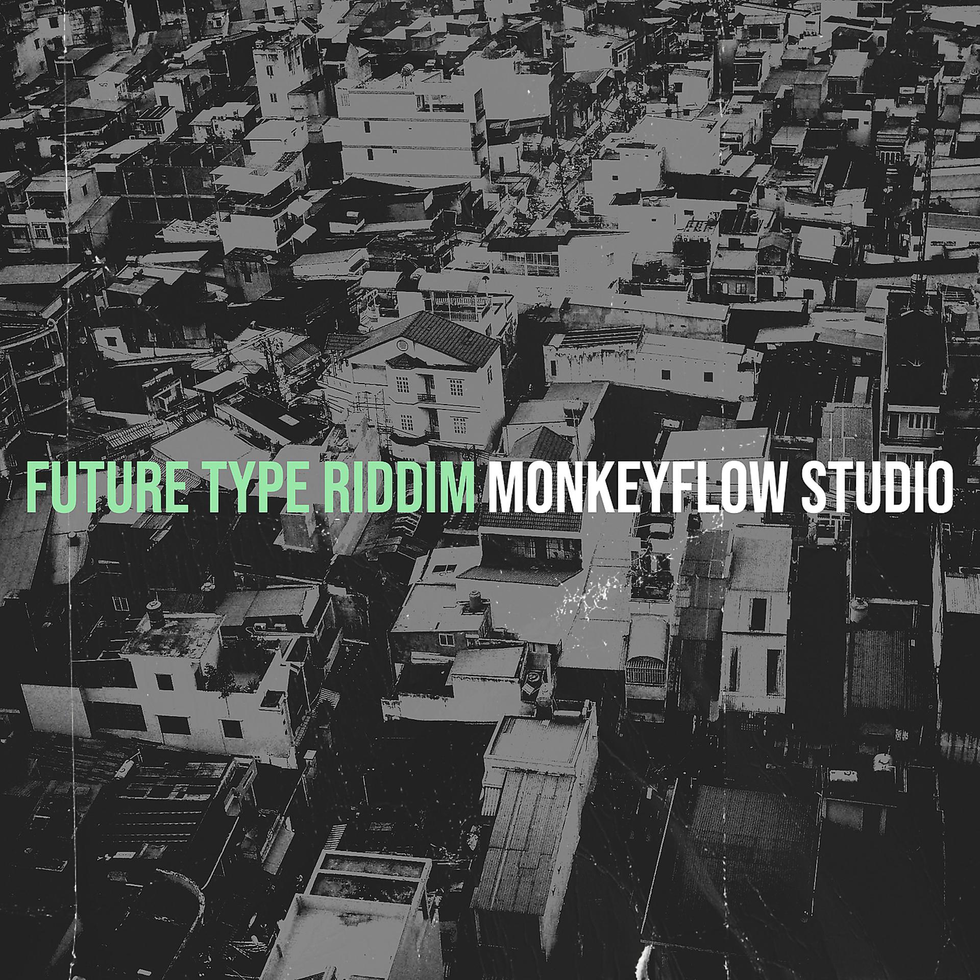 Постер альбома Future Type Riddim