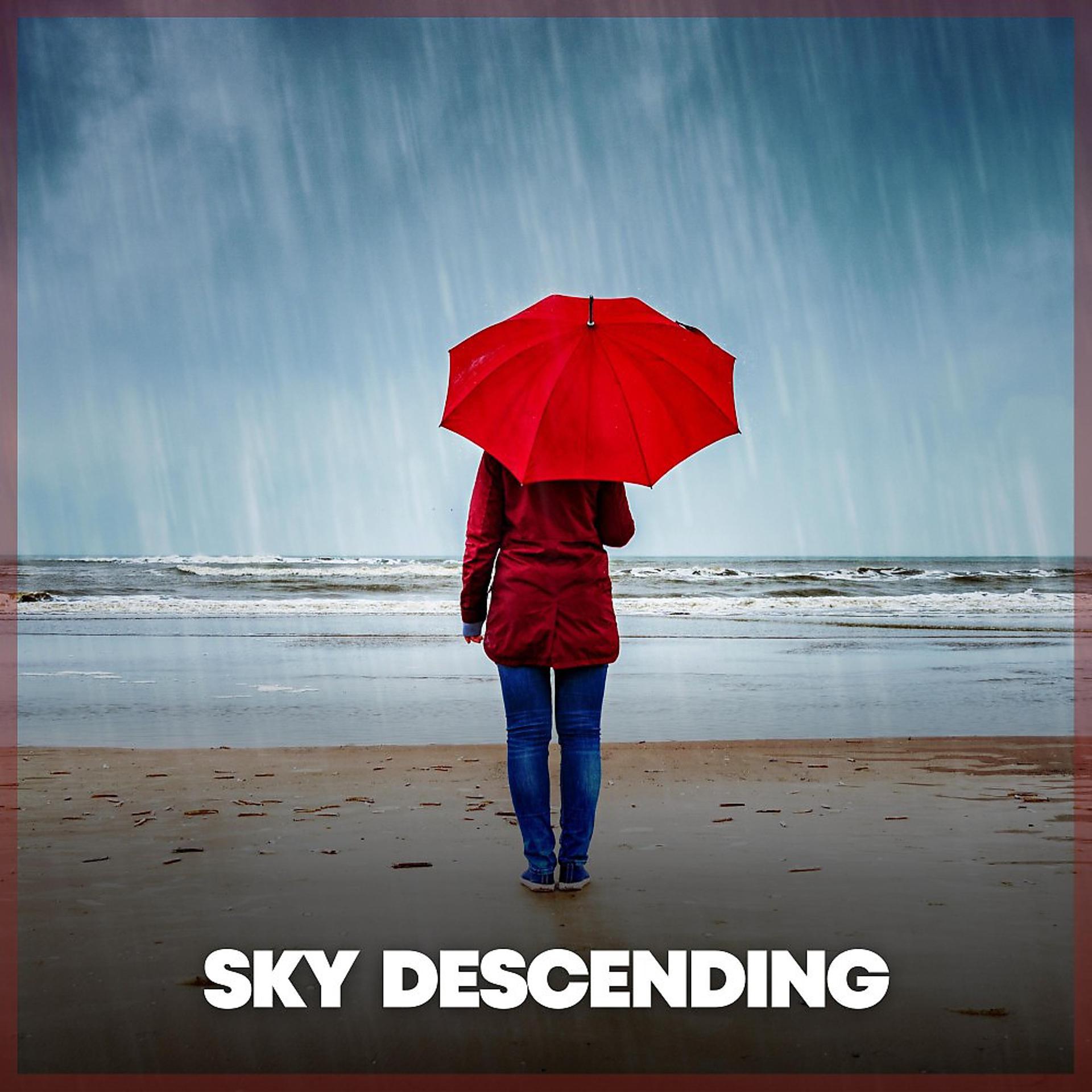 Постер альбома Sky Descending