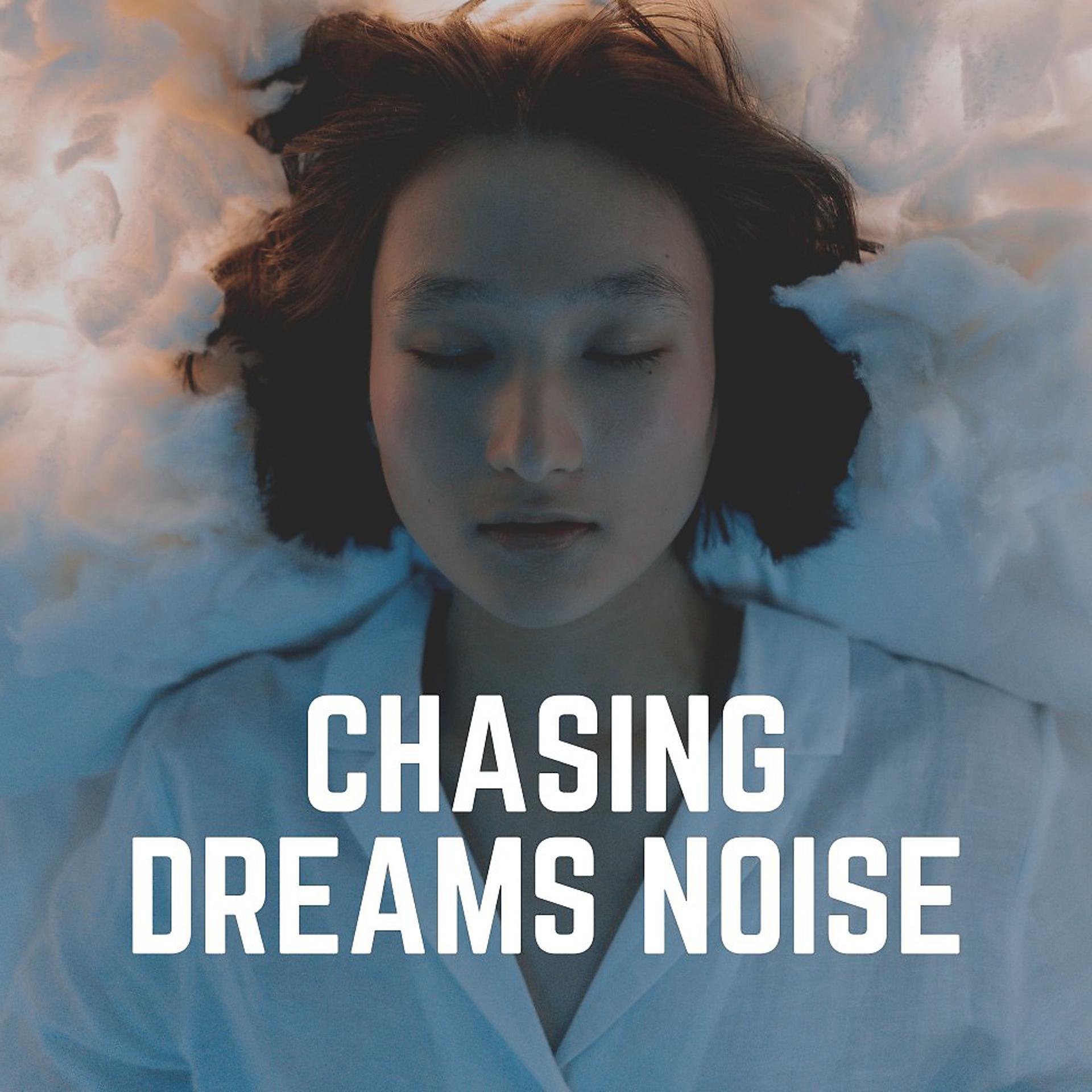 Постер альбома Chasing Dreams Noise