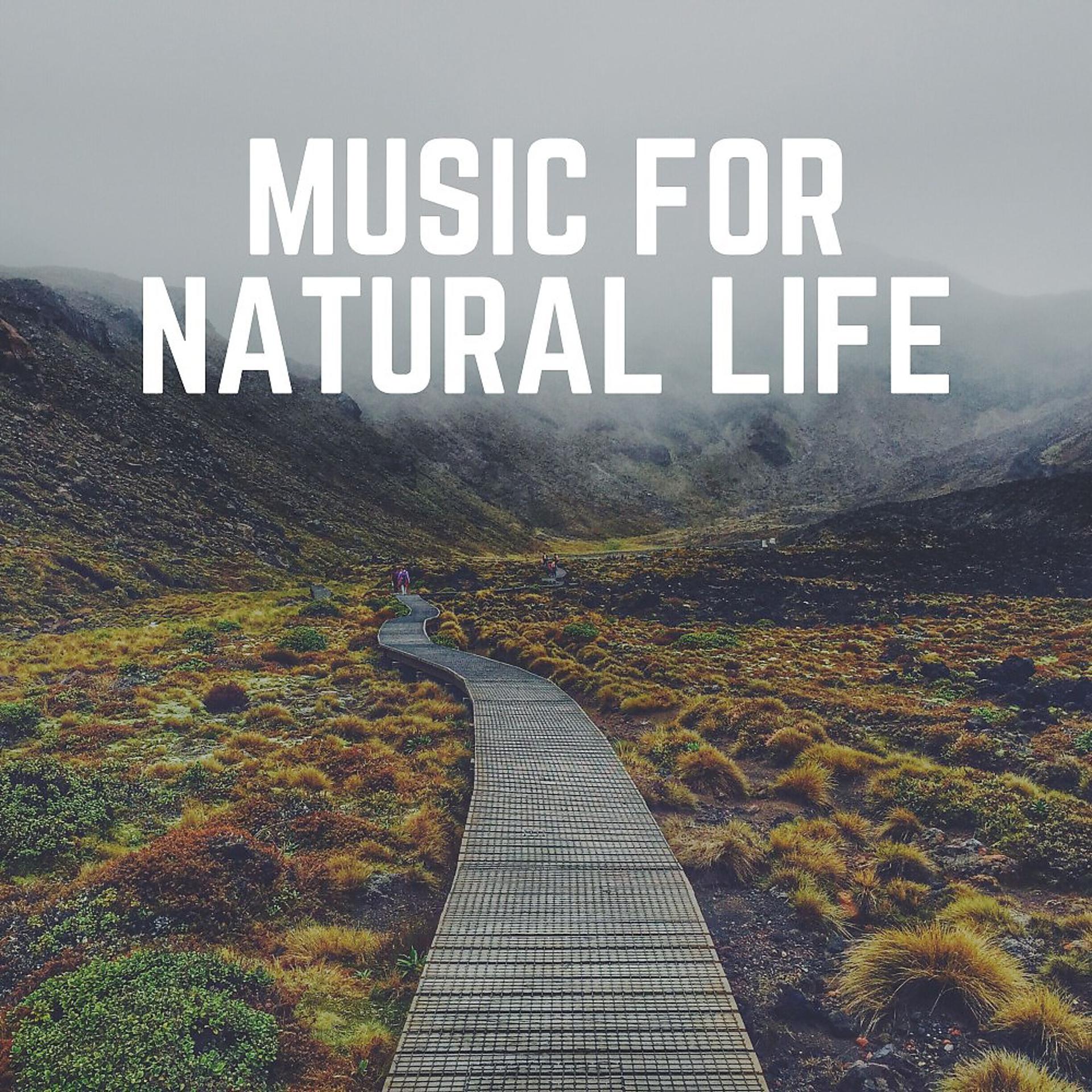 Постер альбома Music for Natural Life