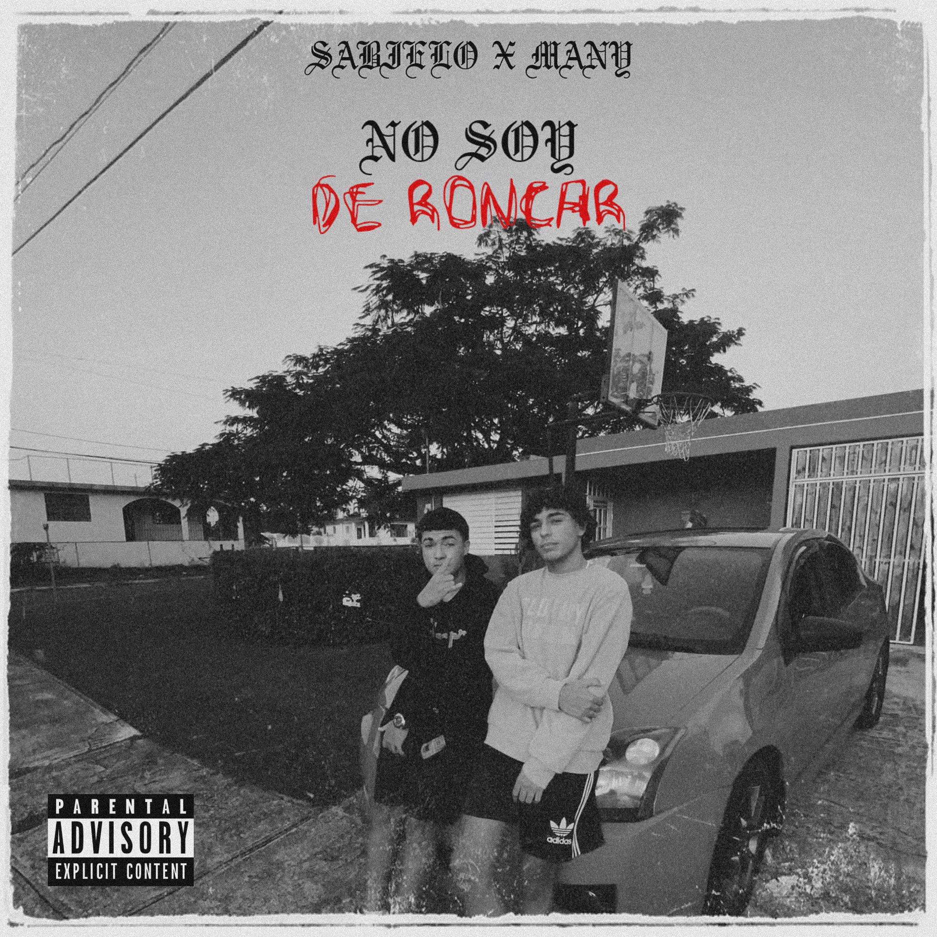 Постер альбома No Soy de Roncar