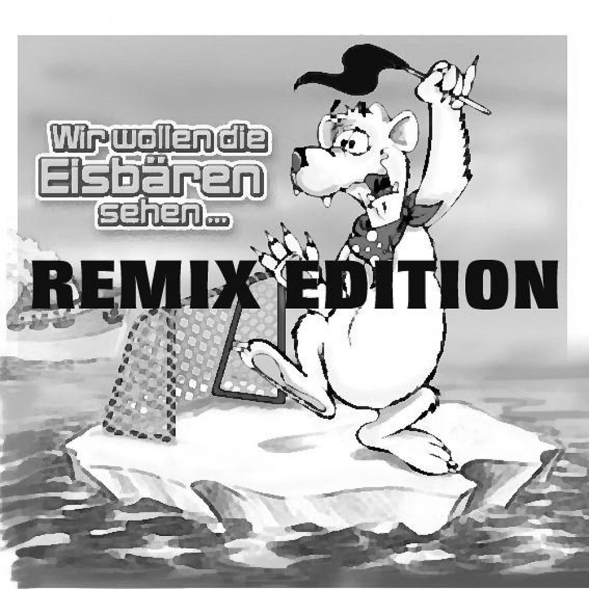 Постер альбома Hey, Wir Woll'n Die Eisbären Seh'n (Remixe 2008)