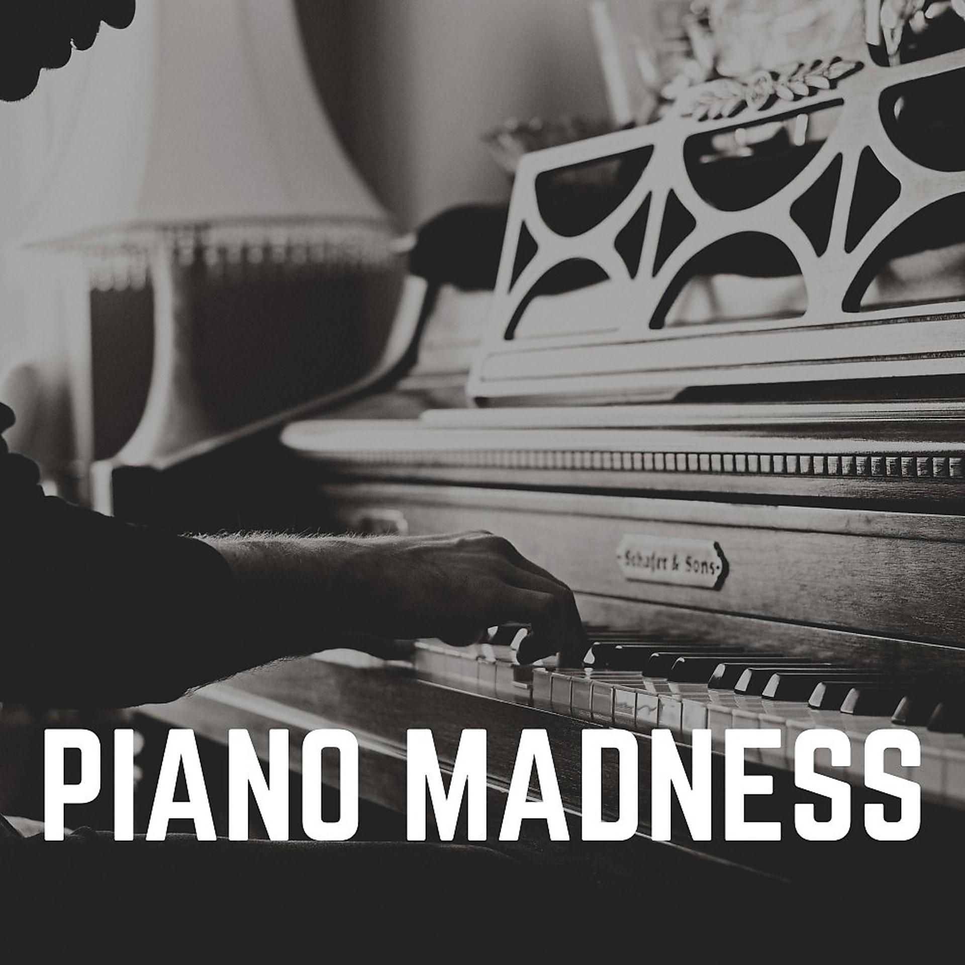 Постер альбома Piano Madness