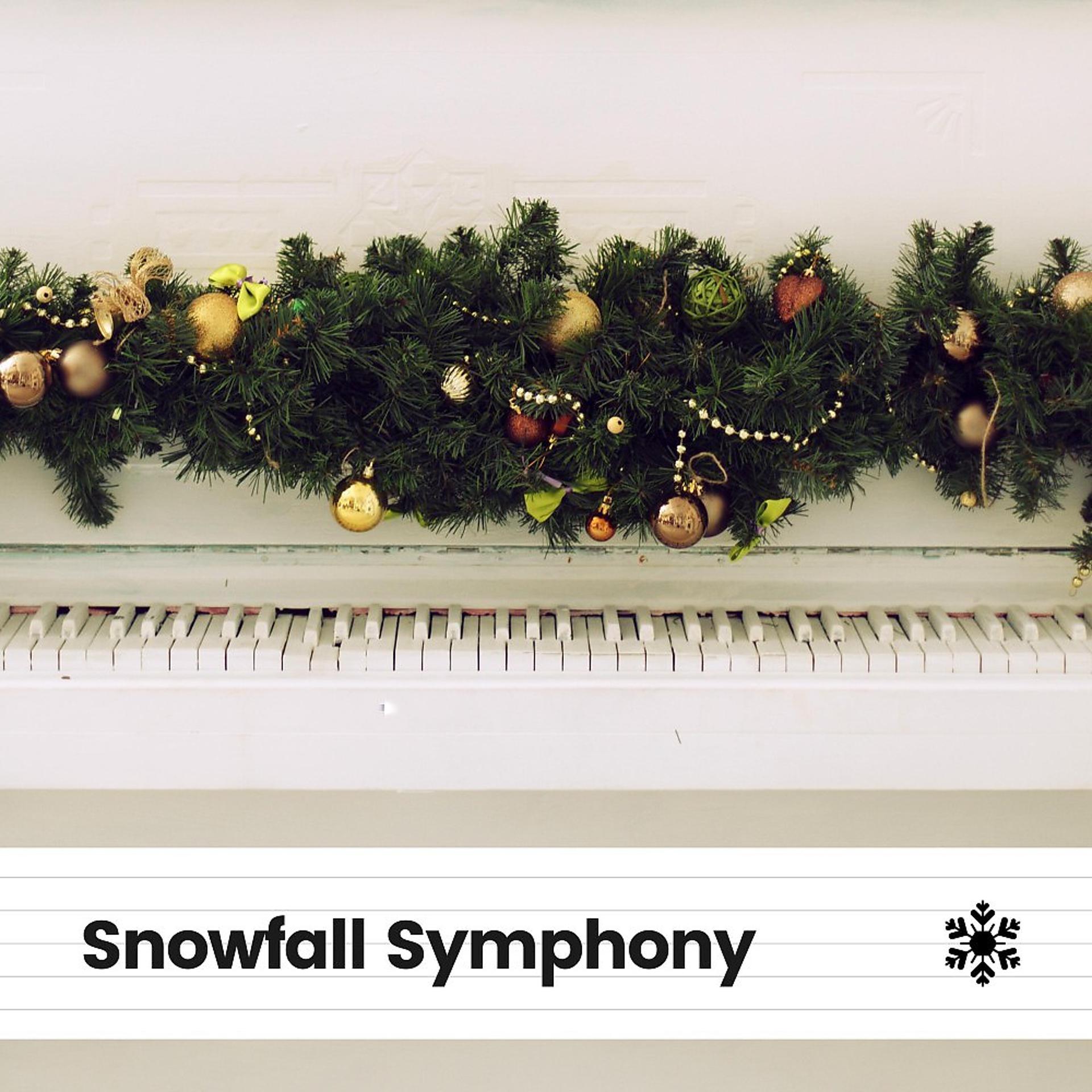 Постер альбома Snowfall Symphony