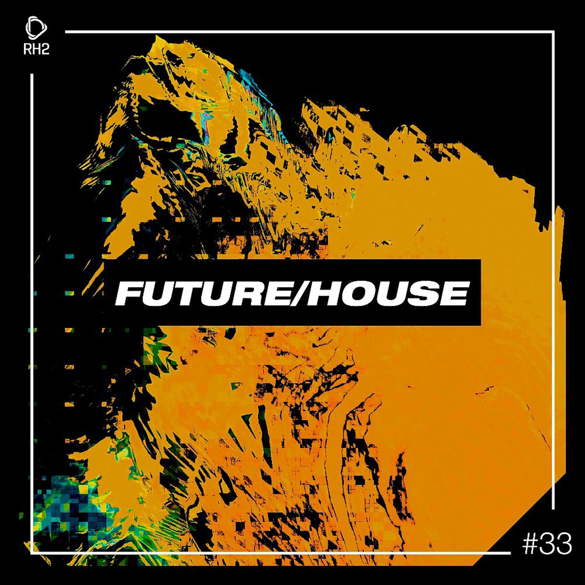 Постер альбома Future/House #33