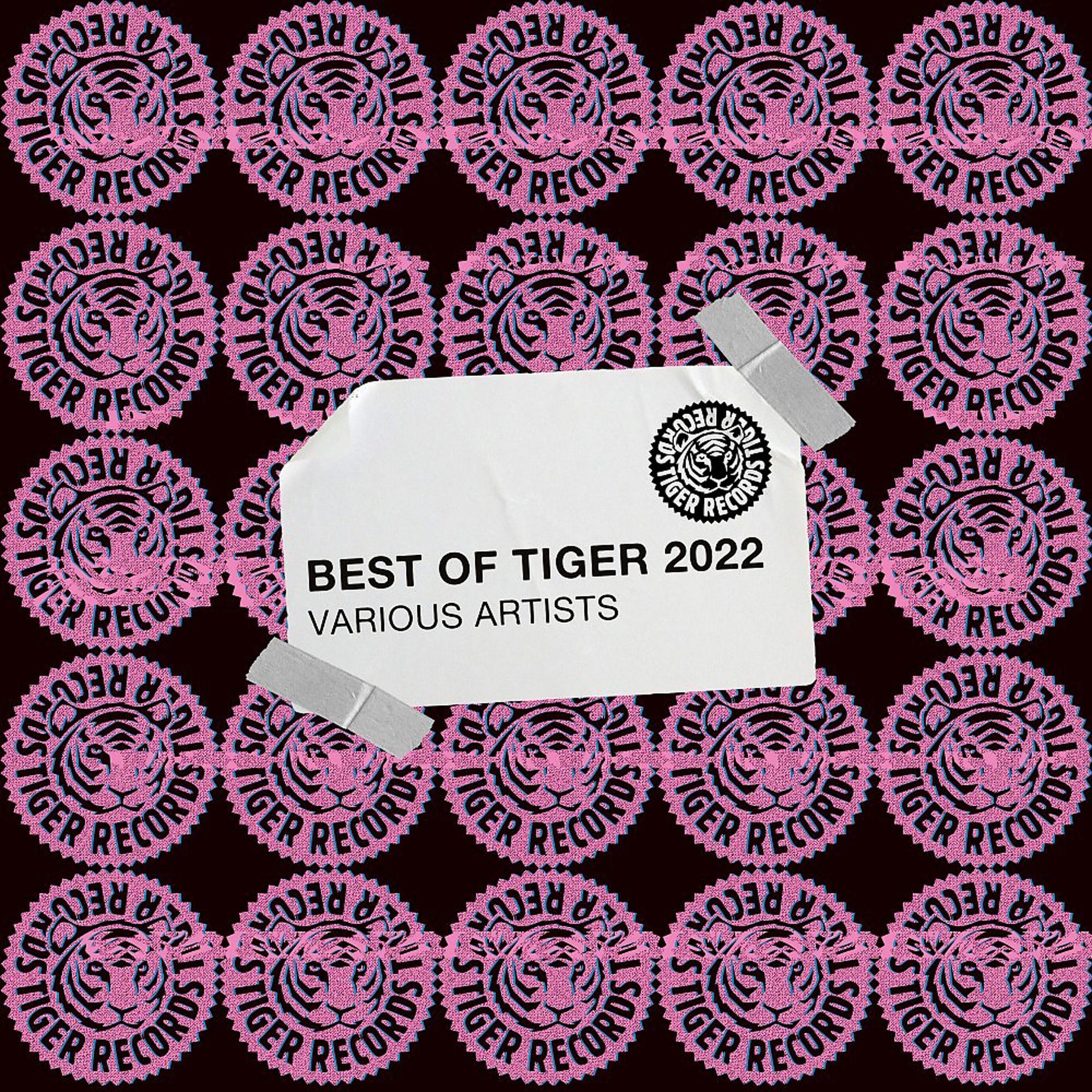 Постер альбома Best Of Tiger 2022