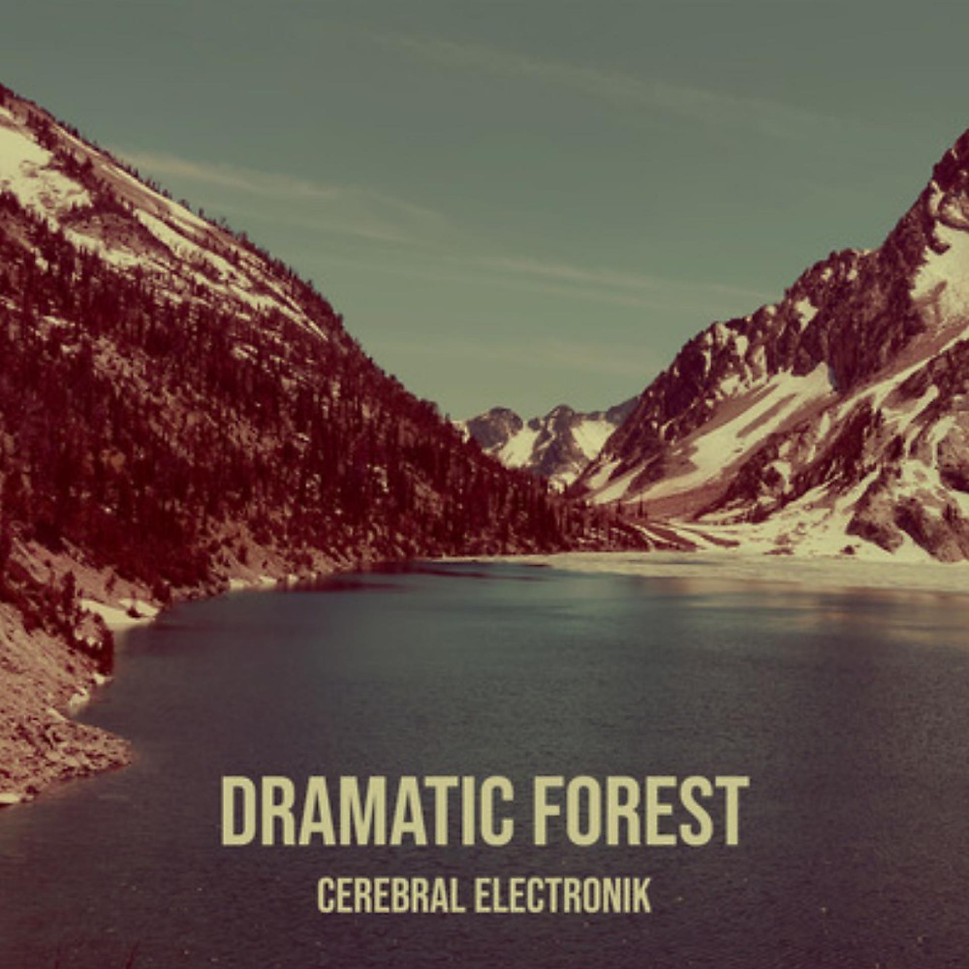 Постер альбома Dramatic Forest