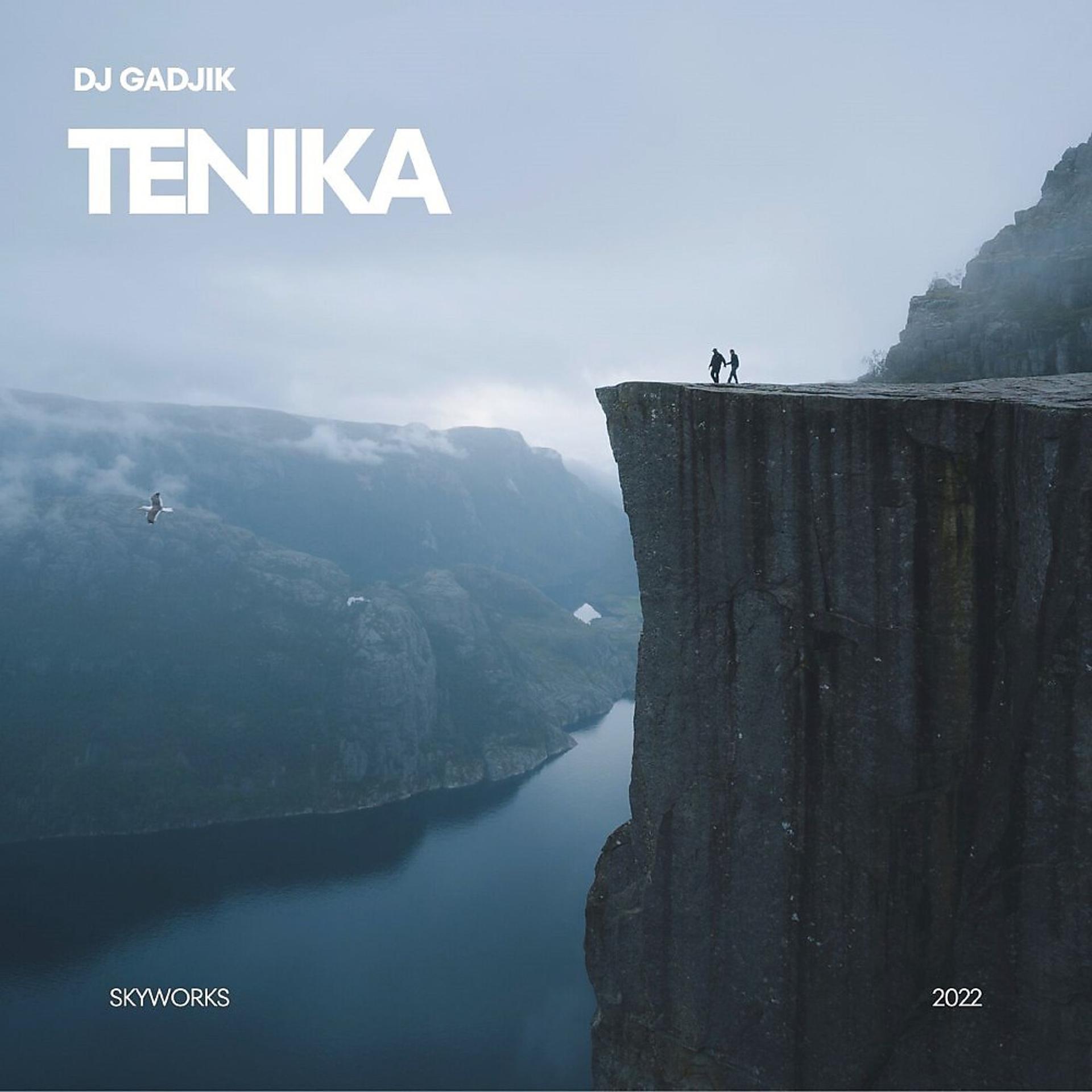 Постер альбома Tenika