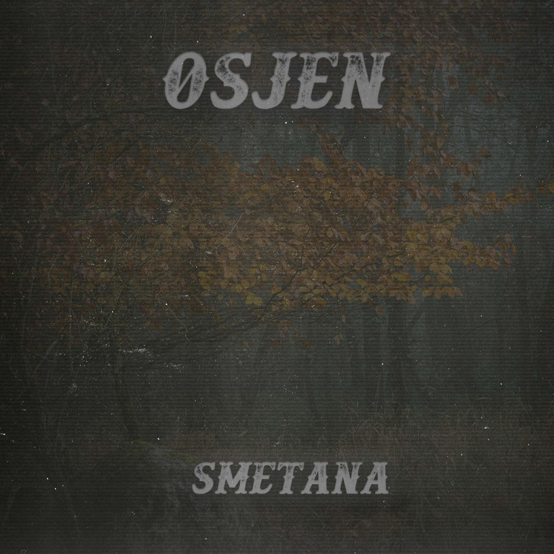 Постер альбома Osjen