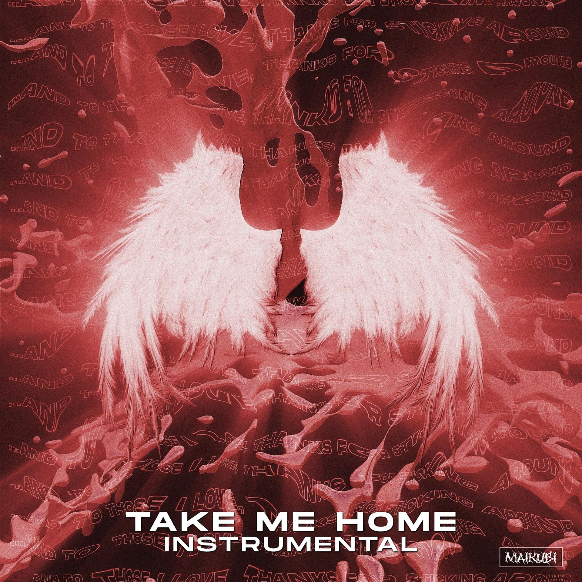 Постер альбома Take Me Home (Instrumental)