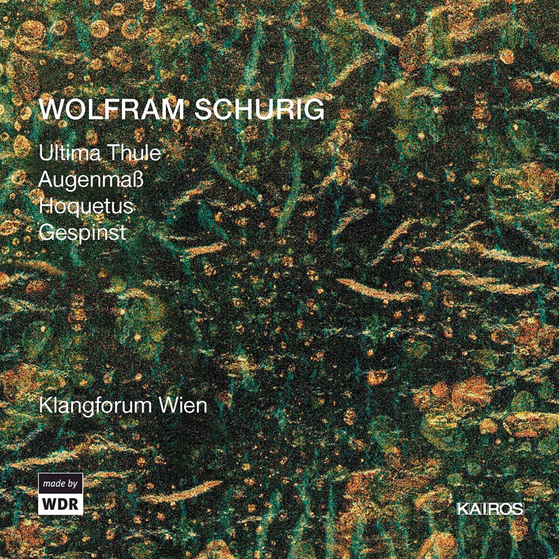 Постер альбома Wolfram Schurig: Ultima Thule