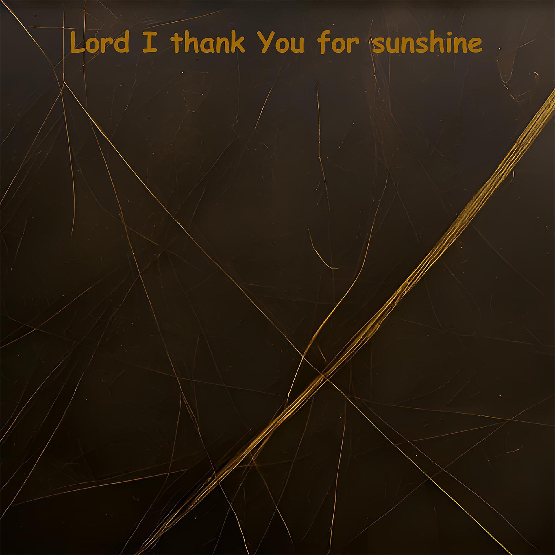Постер альбома Lord I Thank You for Sunshine