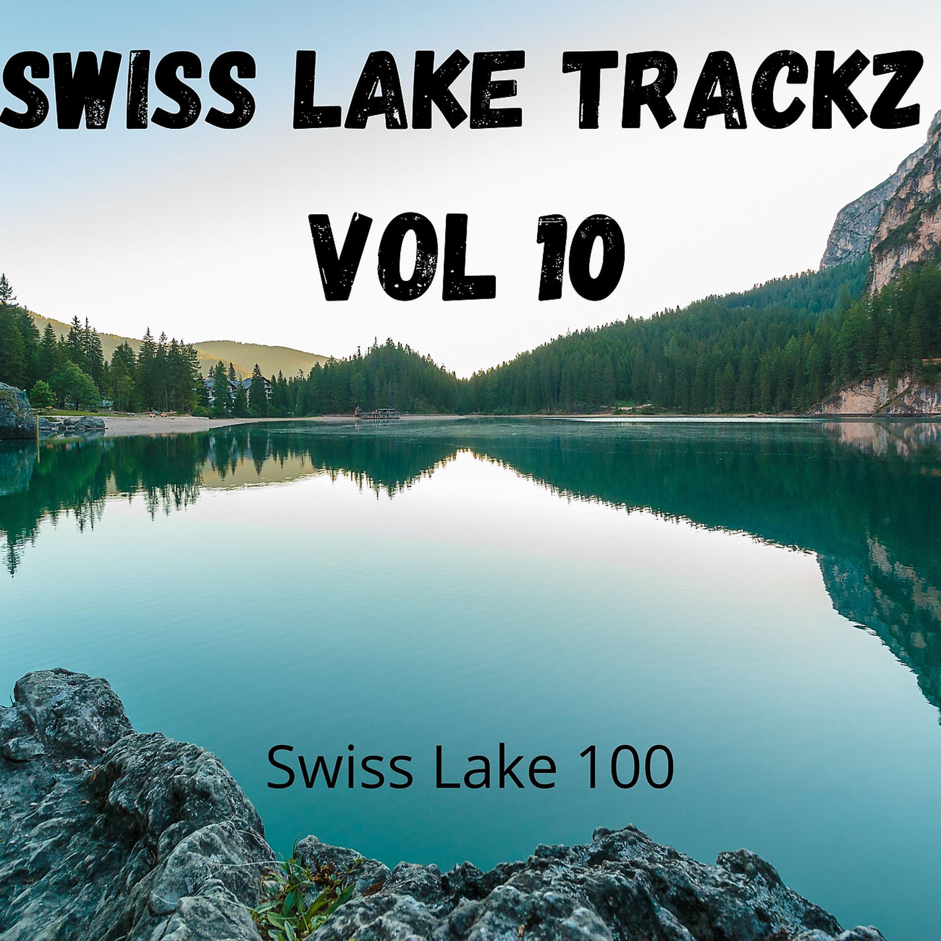 Постер альбома Swiss Lake Trackz Vol 10