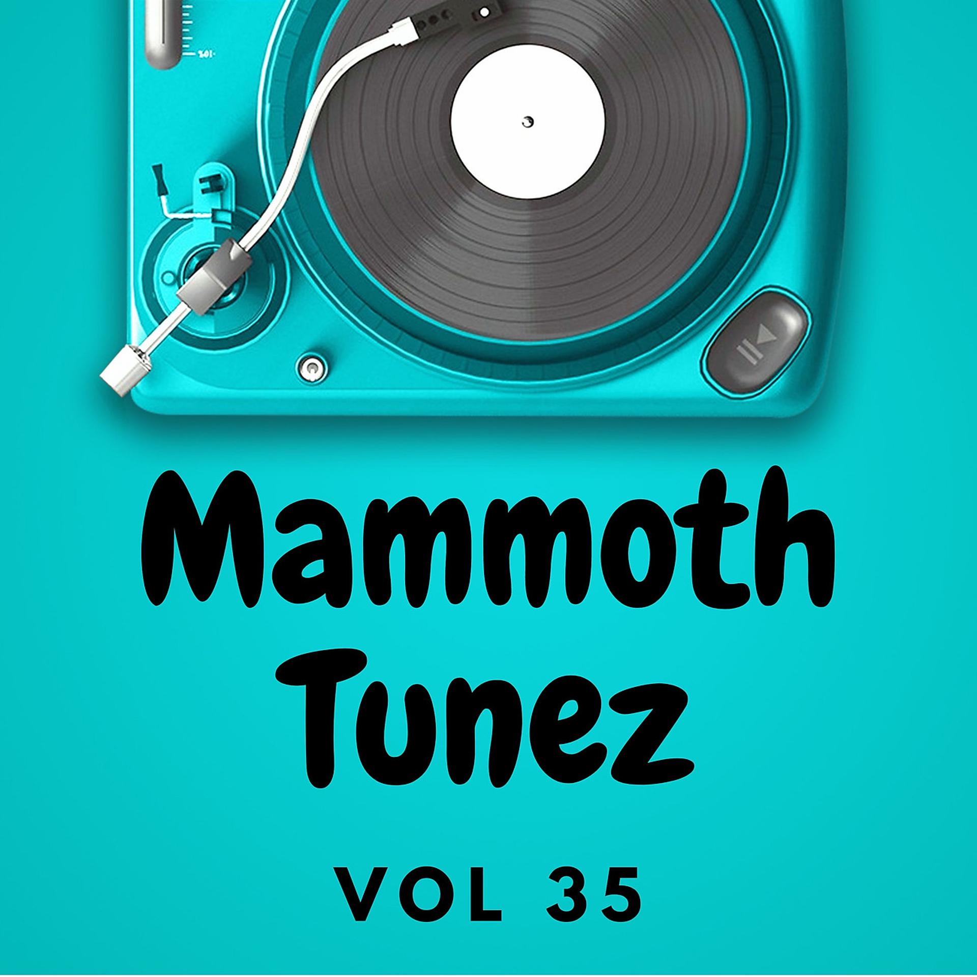 Постер альбома Mammoth Tunez Vol 35