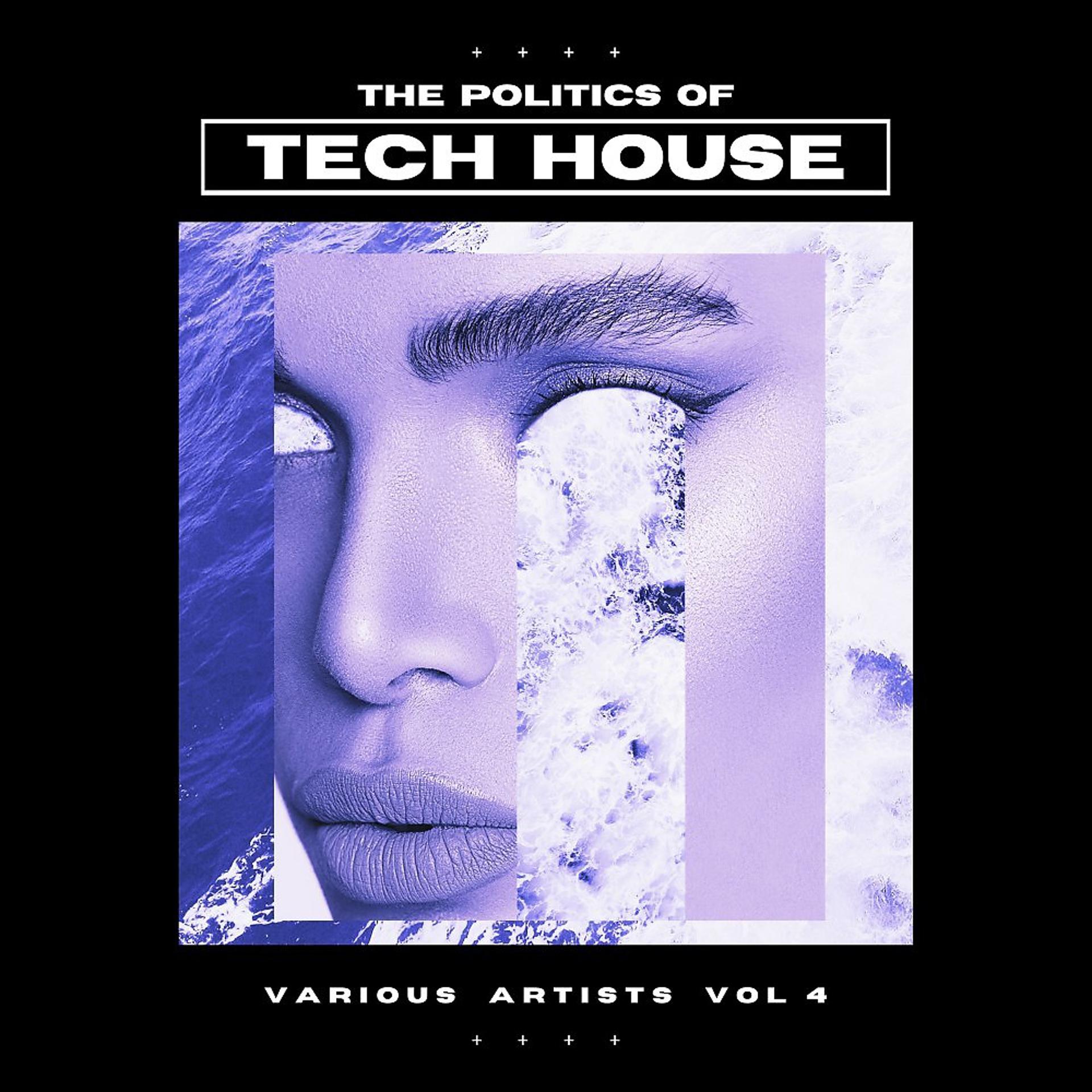 Постер альбома The Politics of Tech House, Vol. 4