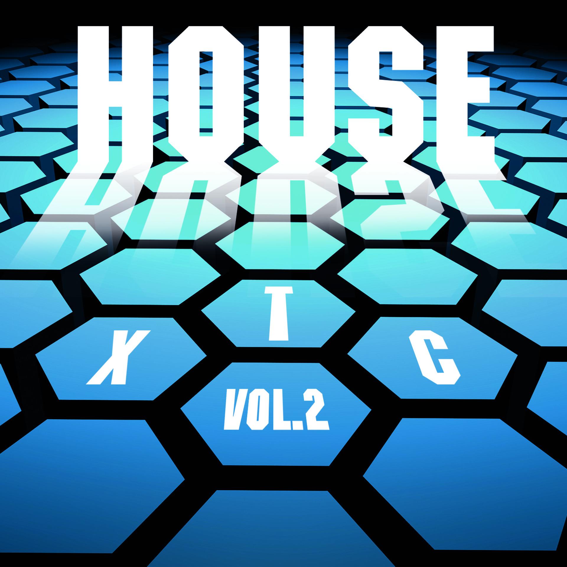 Постер альбома House XTC Vol. 2