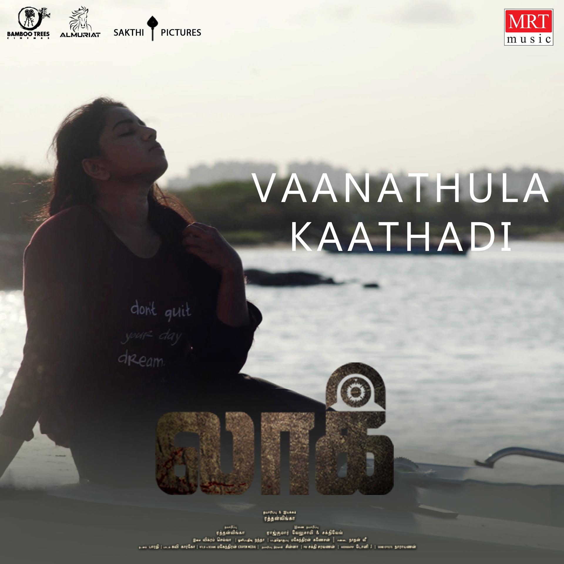 Постер альбома Vanathula Kaathadi