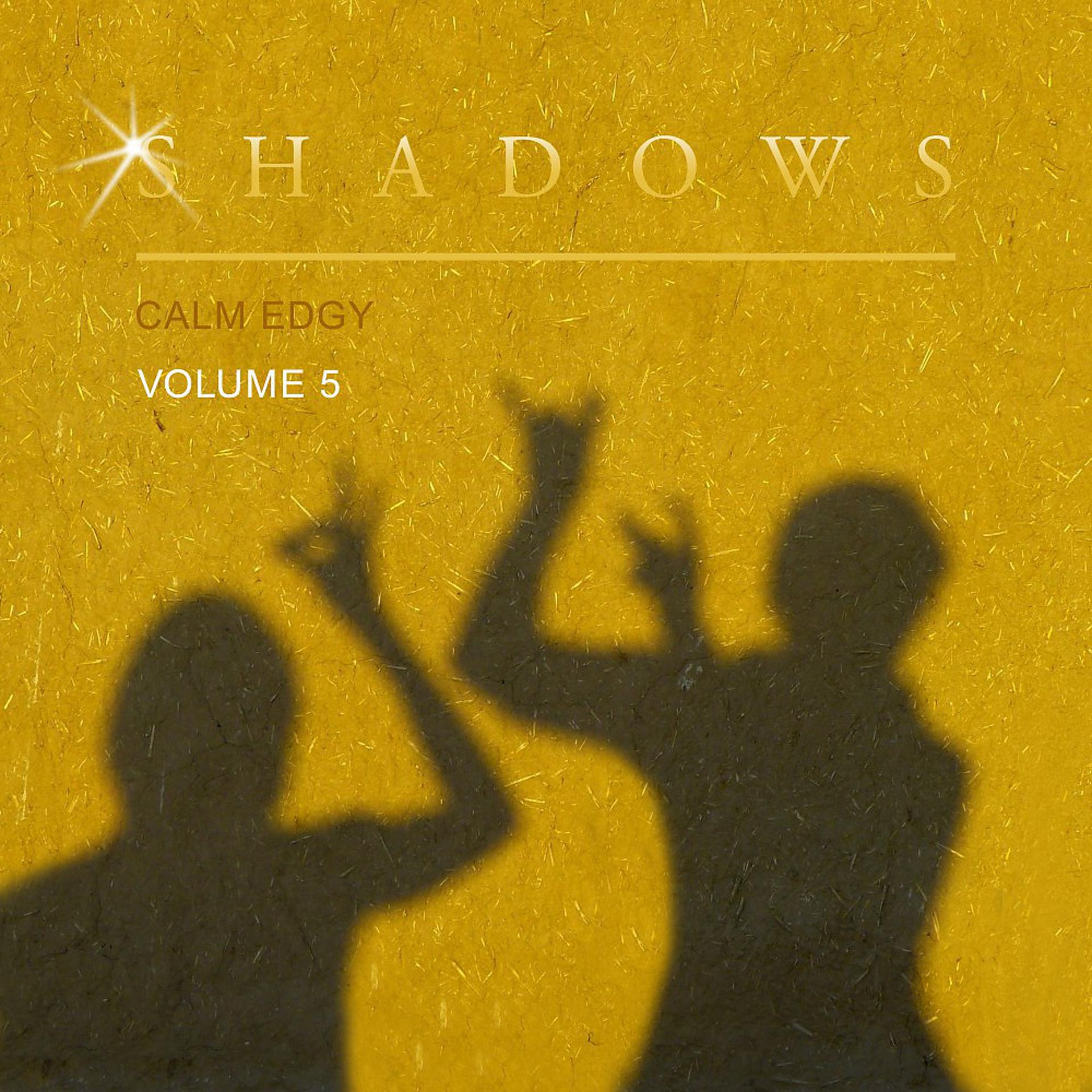 Постер альбома Shadows Calm Edgy, Vol. 5