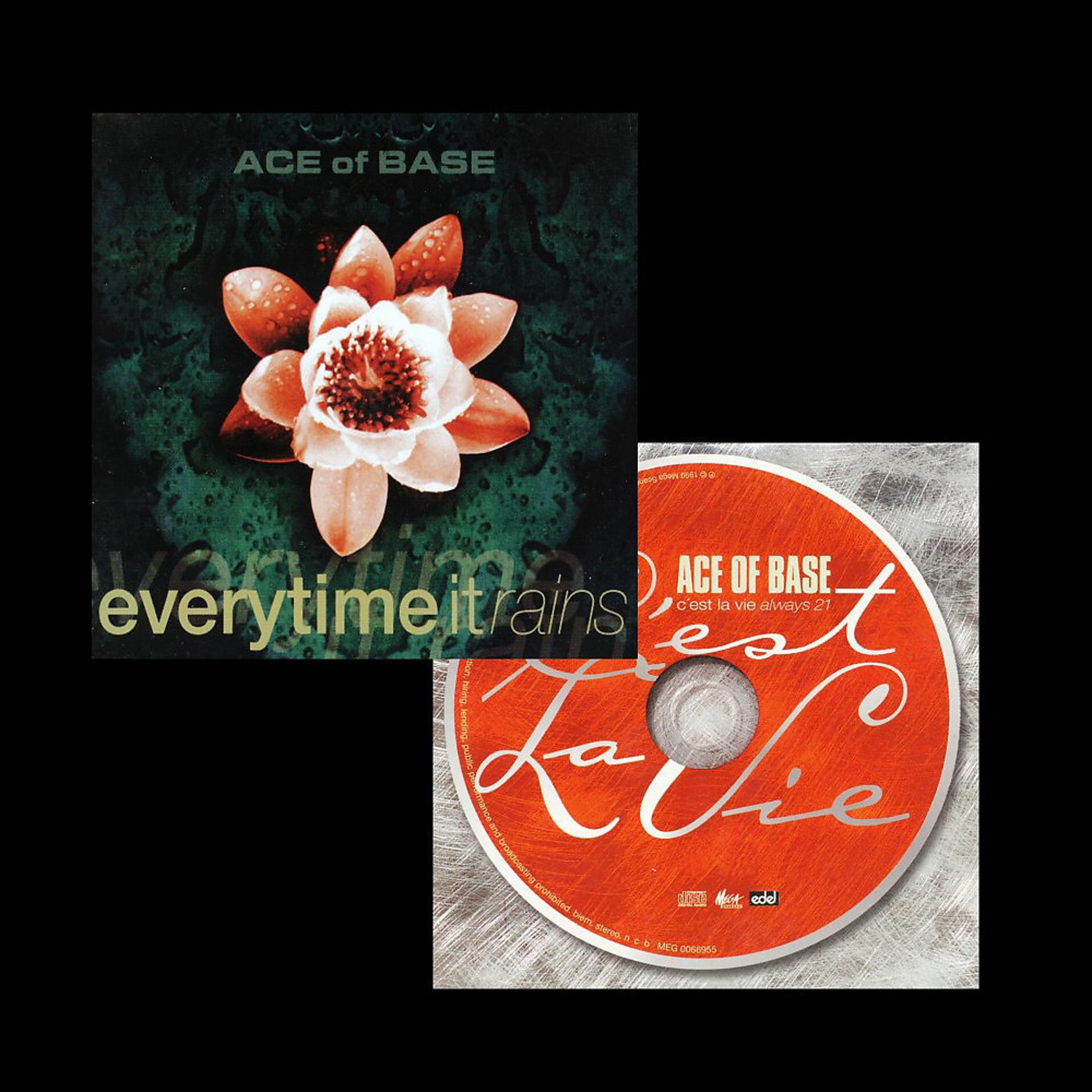 Постер альбома Everytime It Rains / C'est la vie (Always 21) [The Remixes]