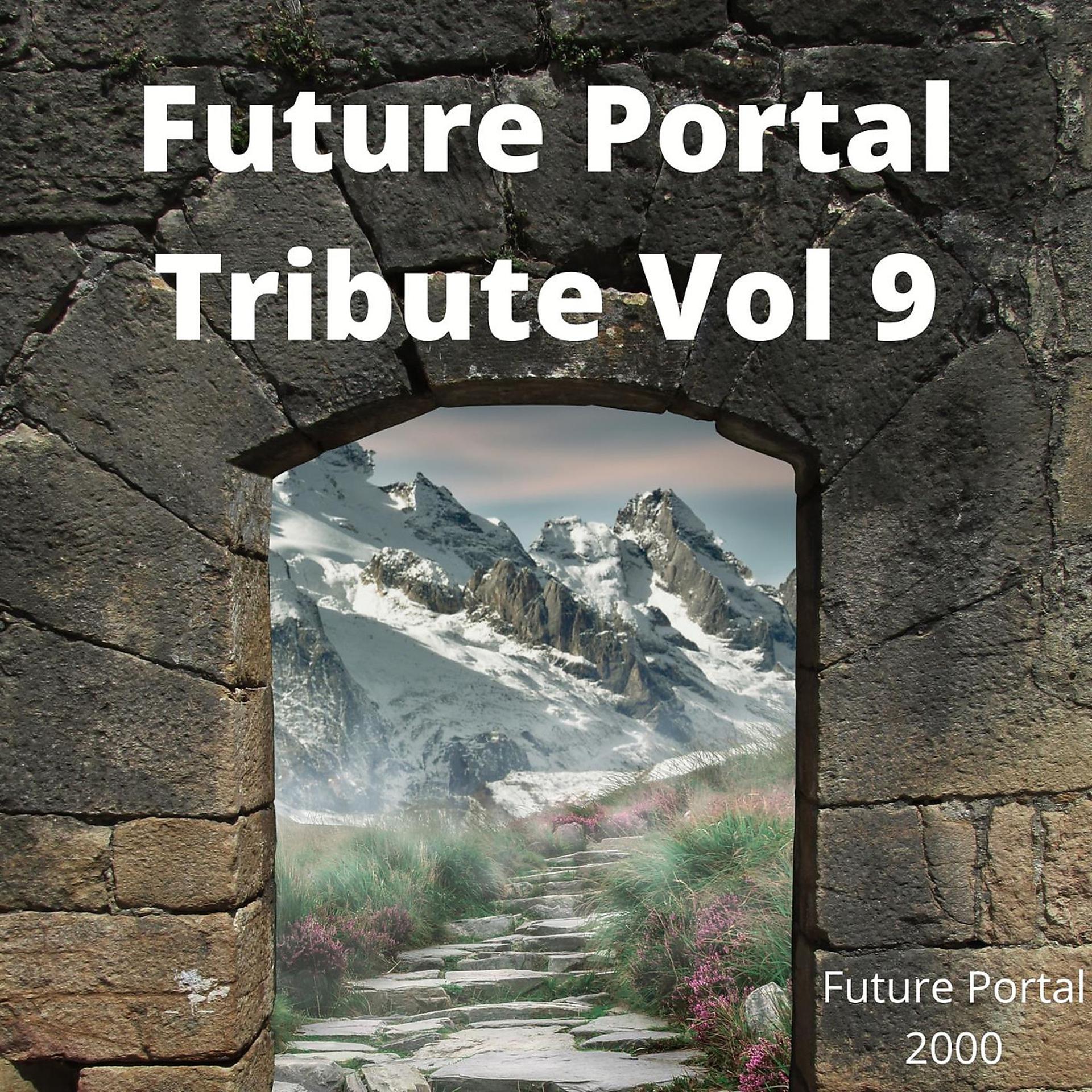 Постер альбома Future Portal Tribute Vol 9