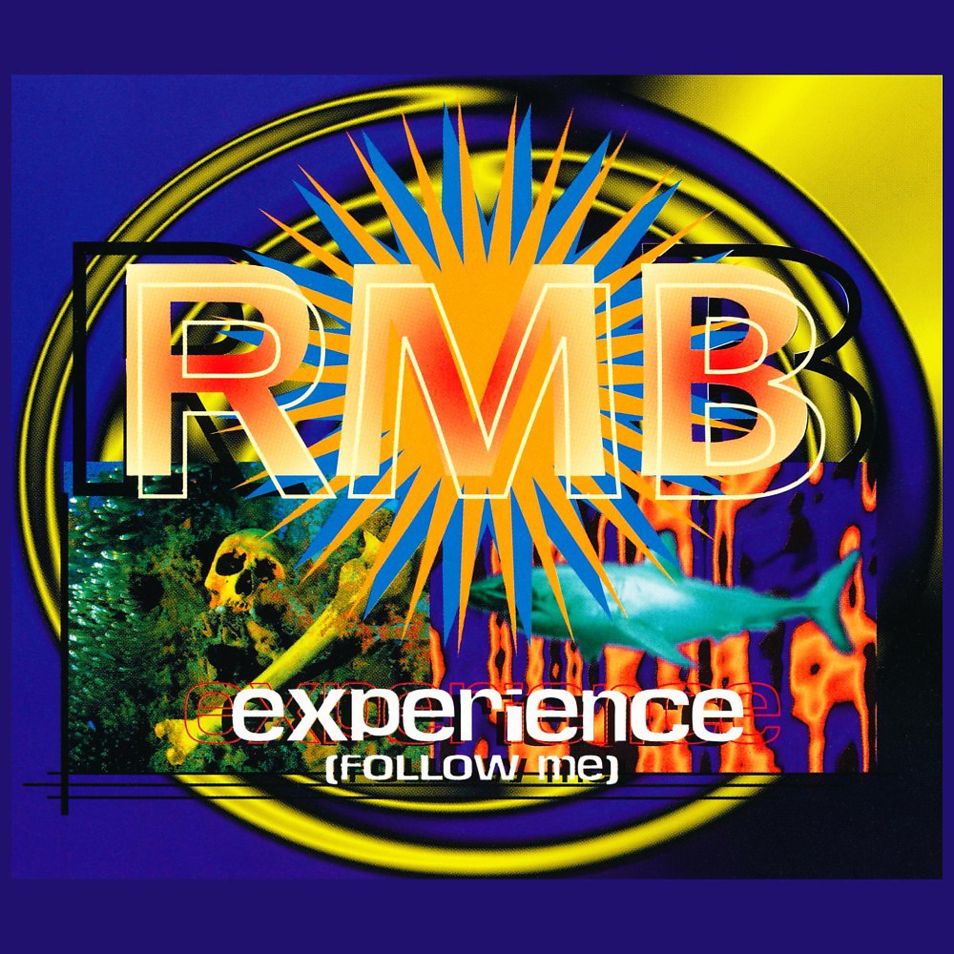 Постер альбома Experience (Follow Me)