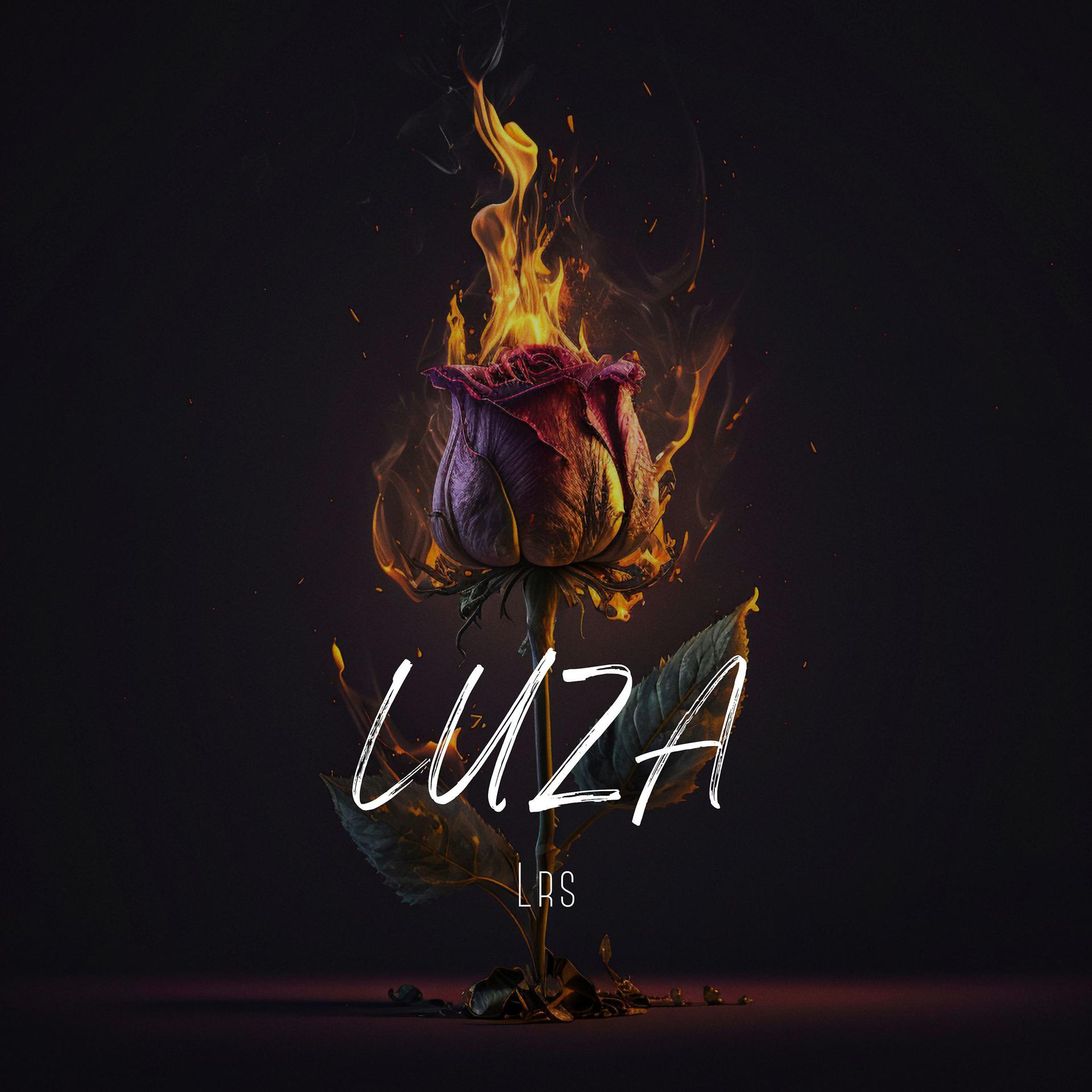 Постер альбома Luza