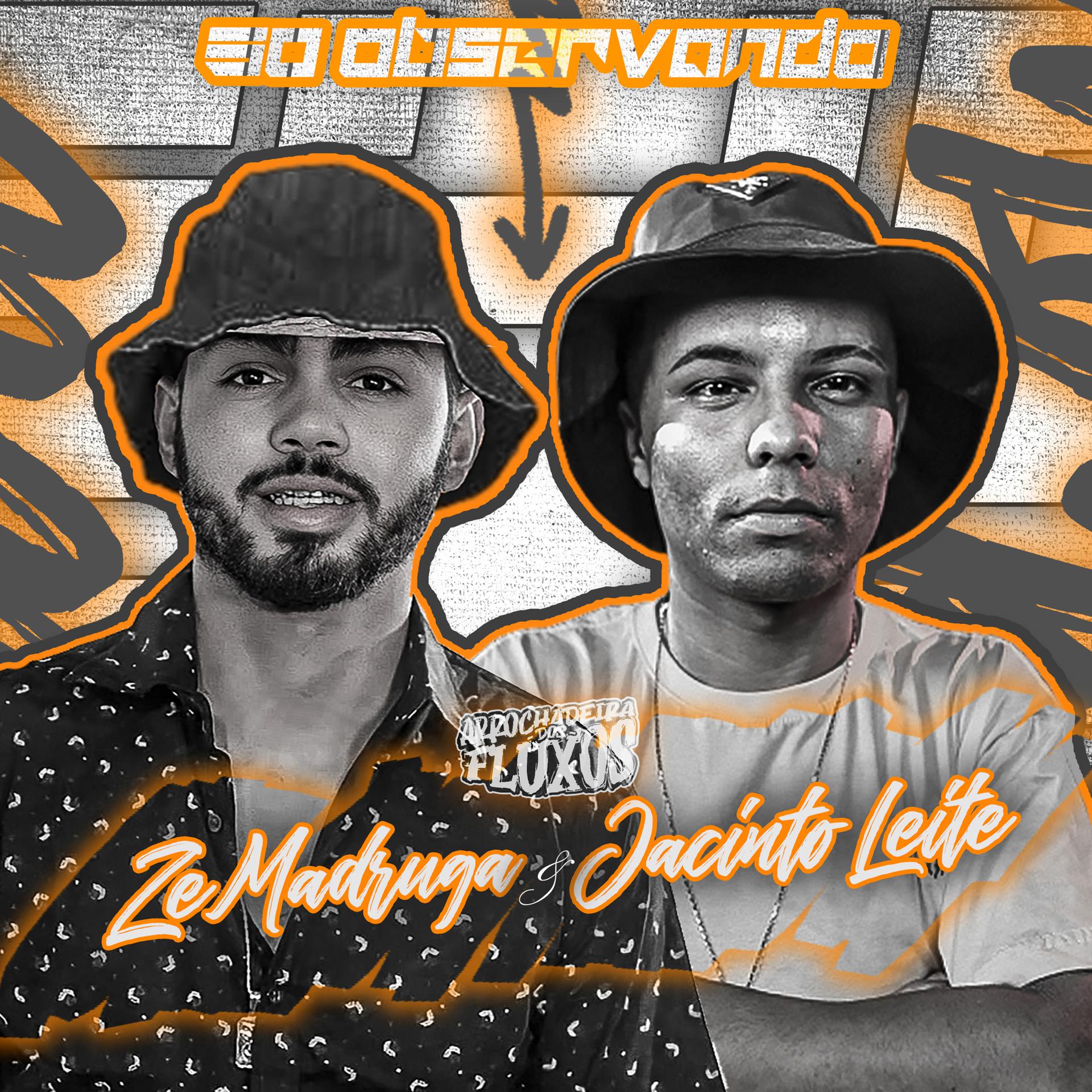 Постер альбома Zé Madruga e Jacinto Leite, Vol.01