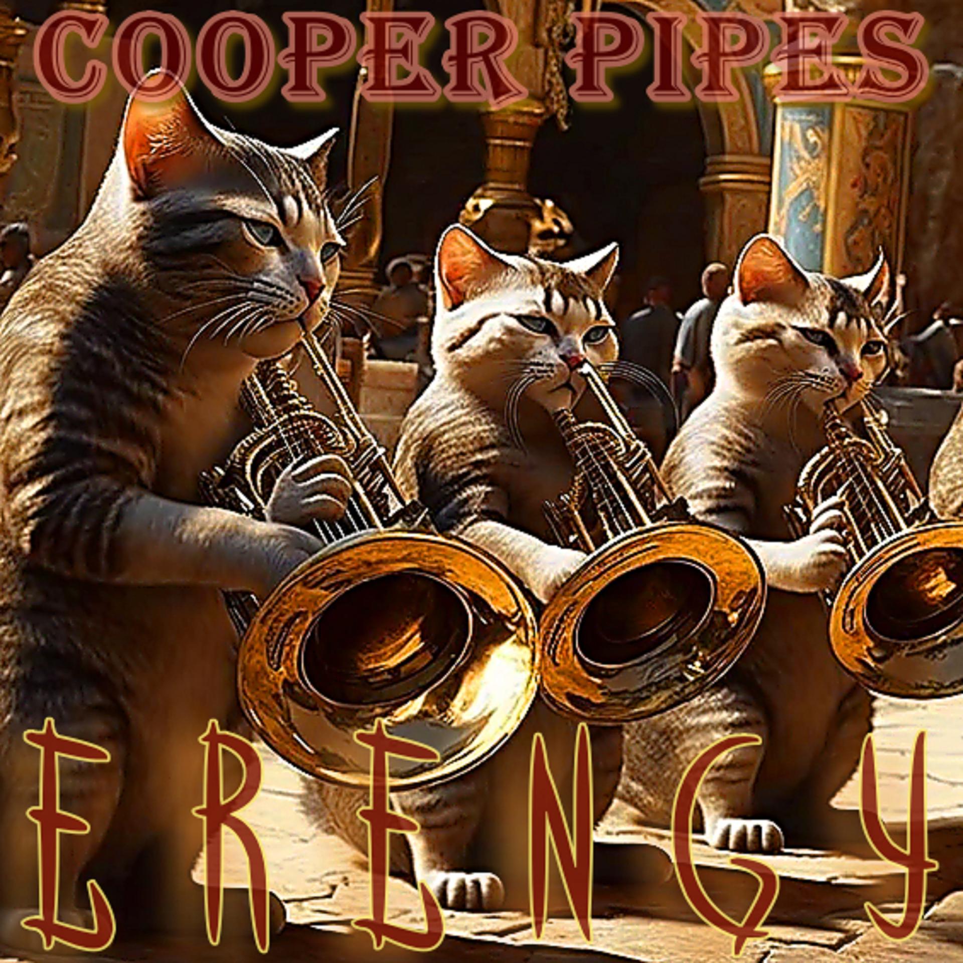 Постер альбома Cooper Pipes