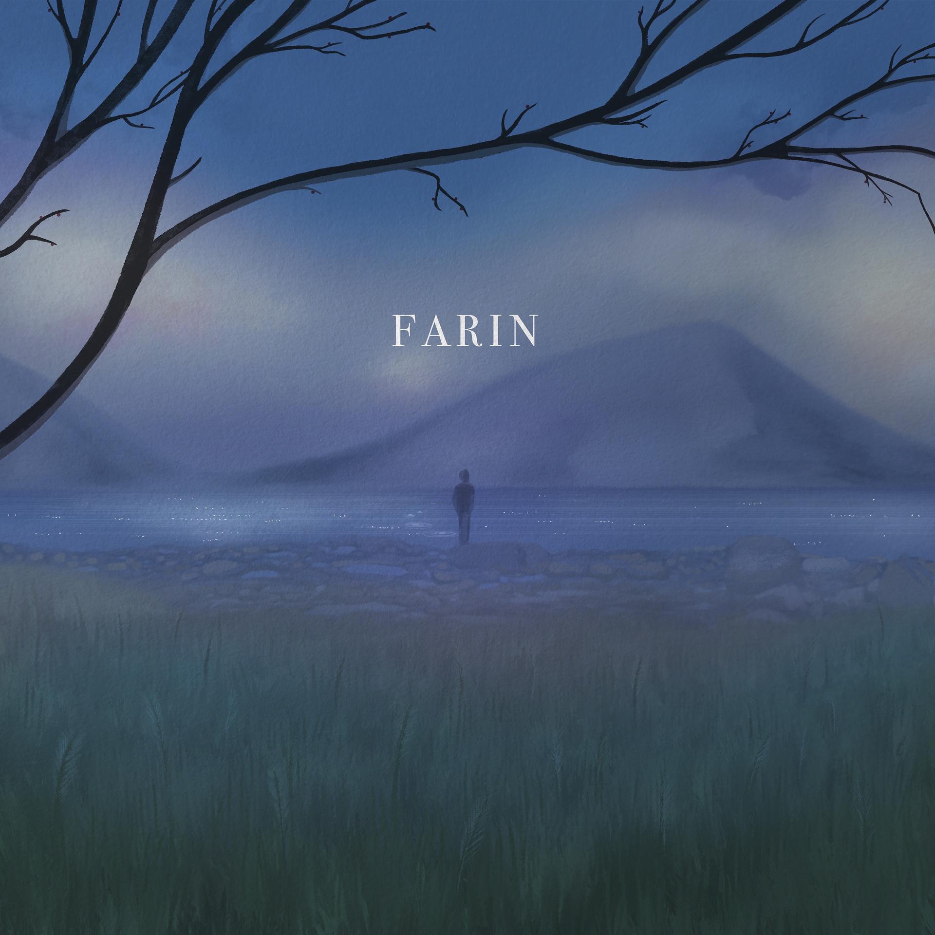 Постер альбома Farin
