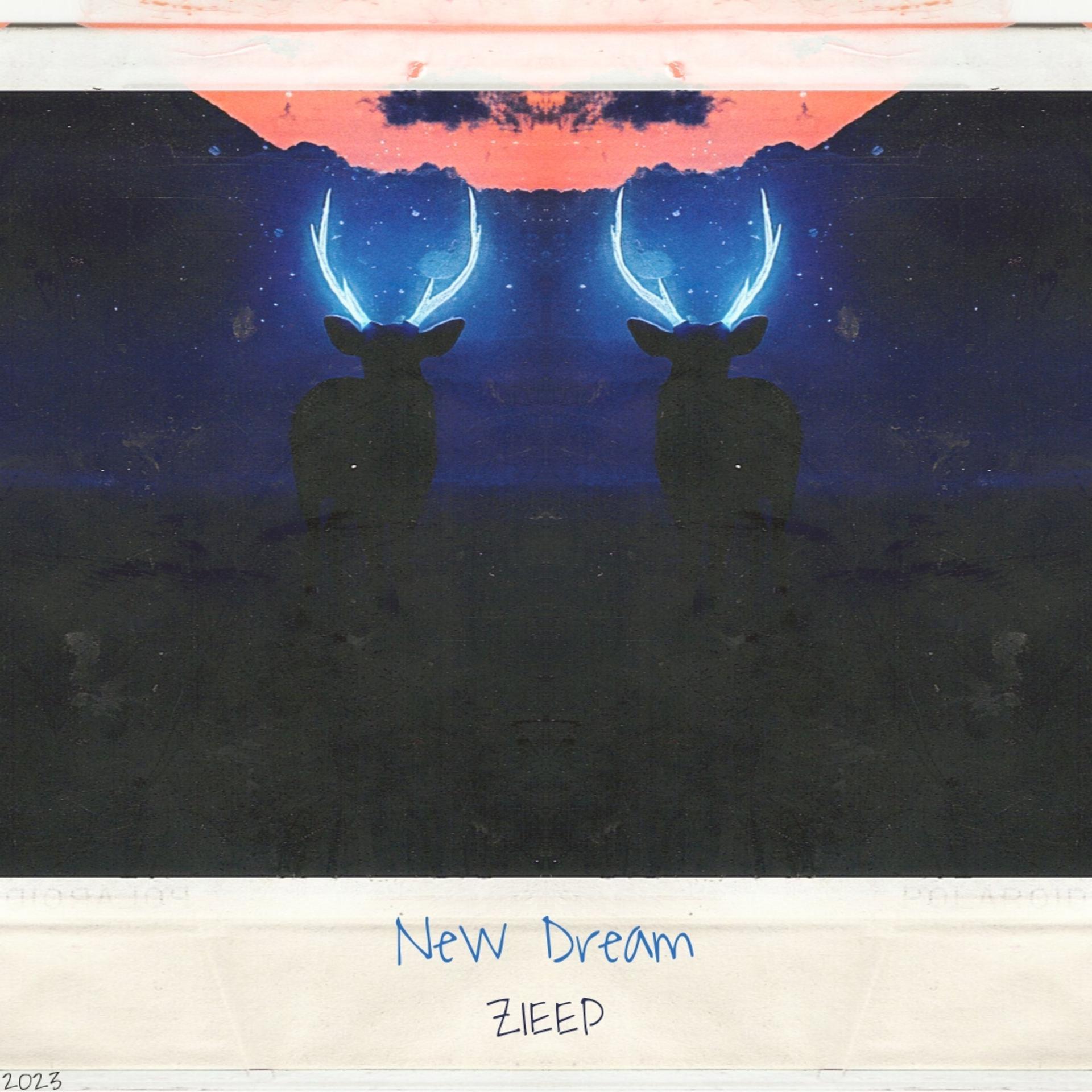 Постер альбома New Dream