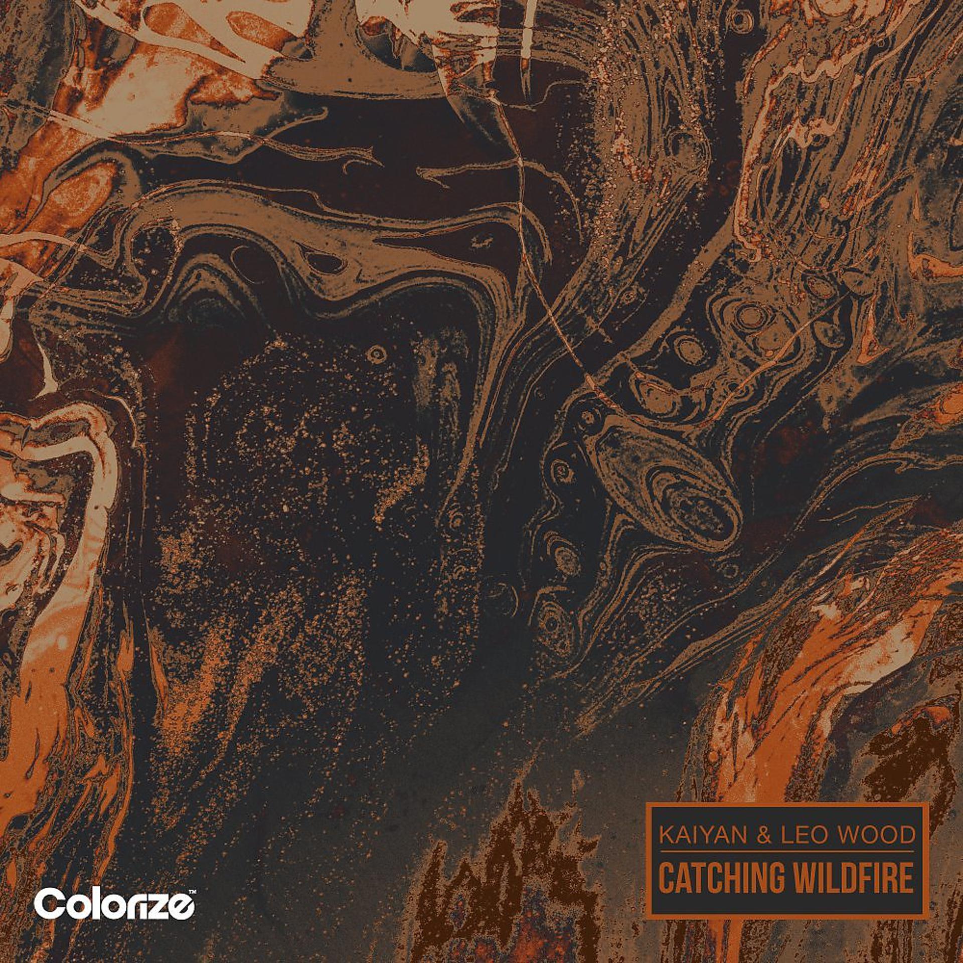 Постер альбома Catching Wildfire