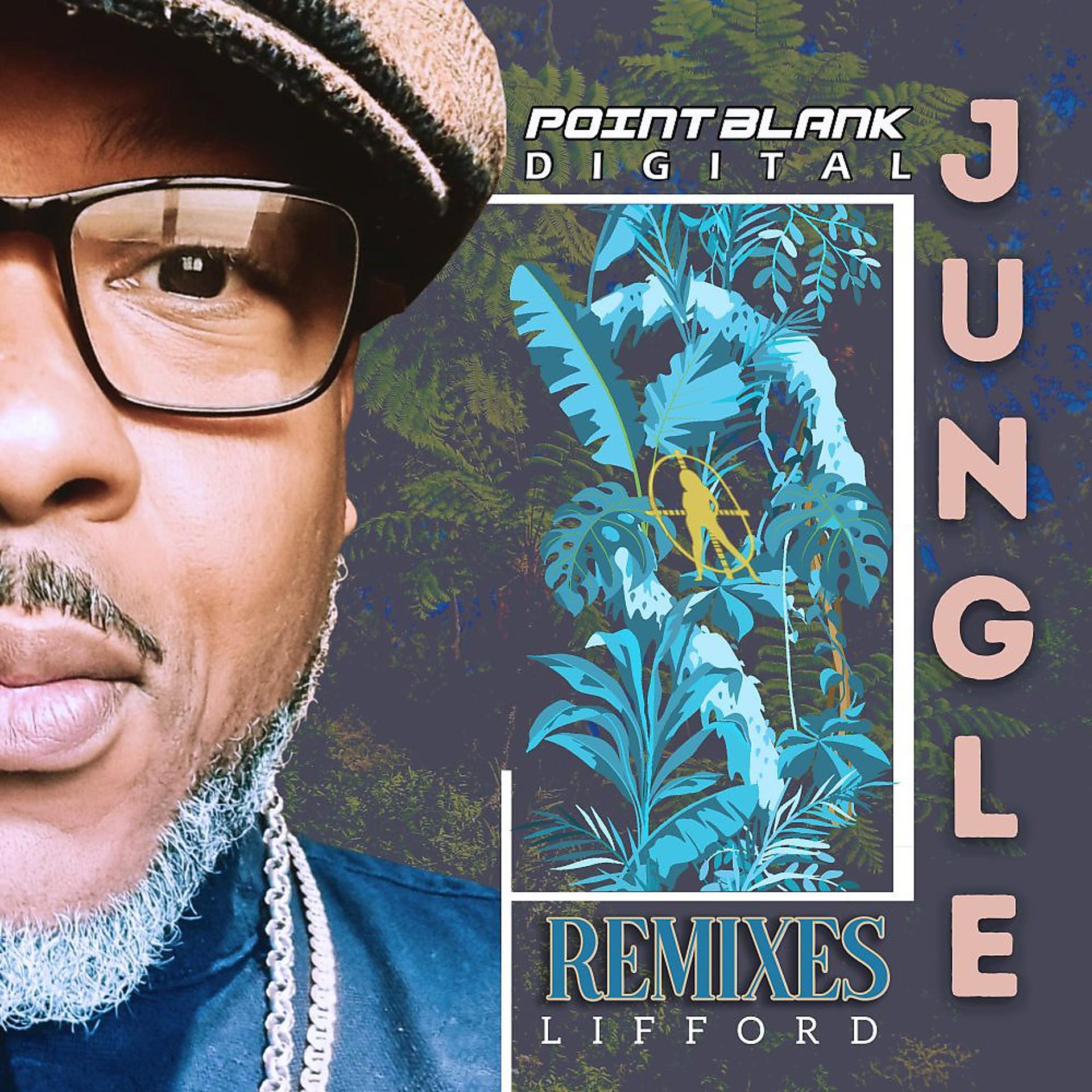 Постер альбома Jungle Remixes