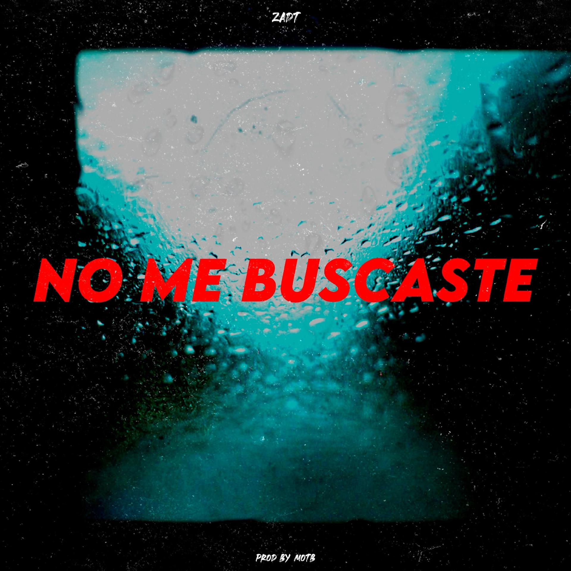 Постер альбома No Me Buscaste