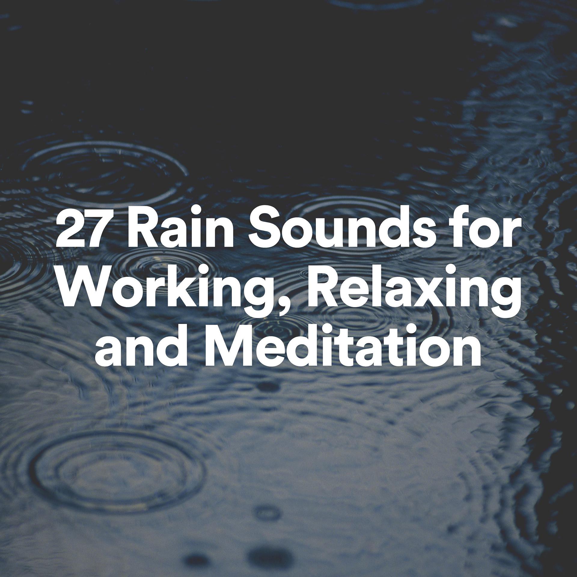 Постер альбома 27 Rain Sounds for Working, Relaxing and Meditation