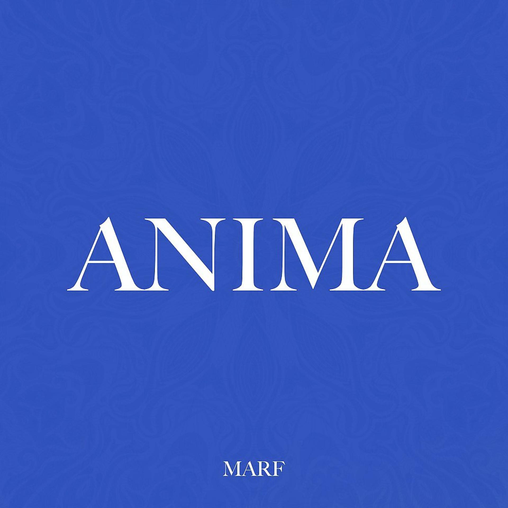 Постер альбома Anima