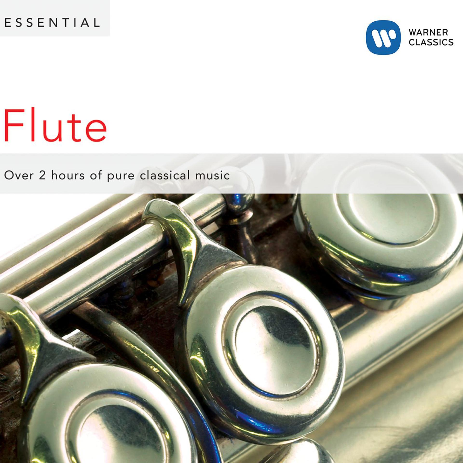 Постер альбома Essential Flute